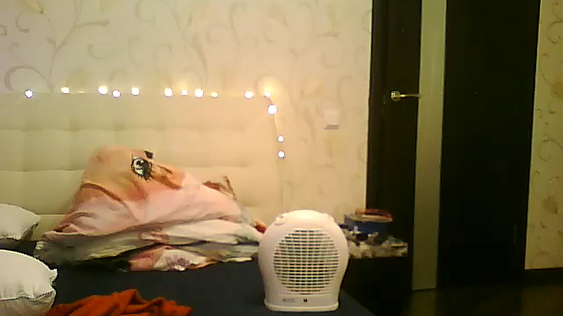 Gallery image thumbnail from AlissaMay's myfreecams stream on, 12/02/2023, 10:26 image 13 of 20