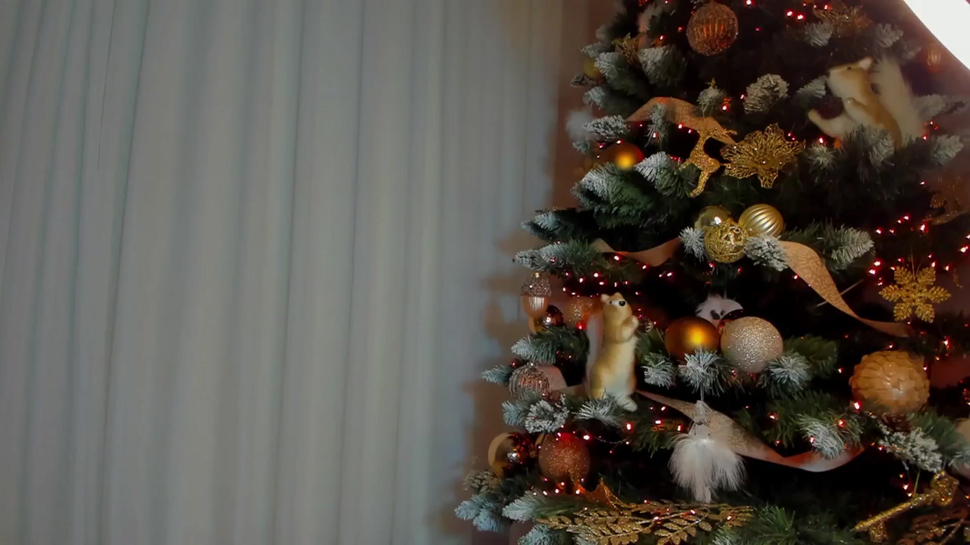 Gallery image thumbnail from Alissa_May's myfreecams stream on, 12/13/2023, 19:13 image 4 of 20