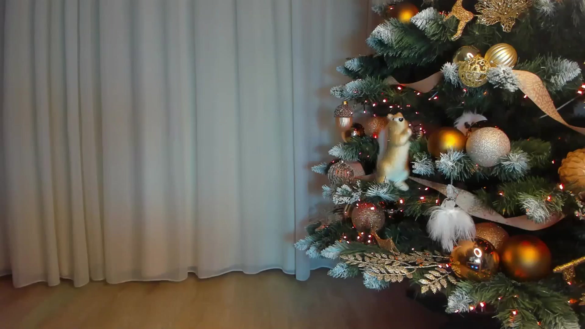 Gallery image thumbnail from Alissa_May's myfreecams stream on, 12/14/2023, 16:07 image 20 of 20