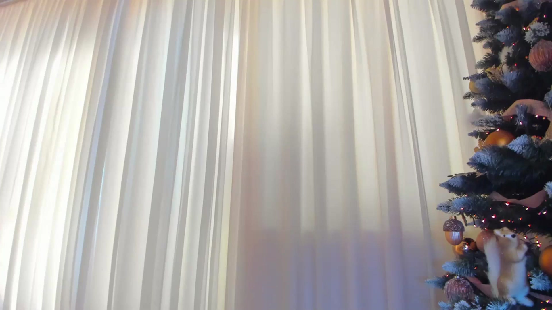 Gallery image thumbnail from Alissa_May's myfreecams stream on, 12/29/2023, 09:56 image 9 of 20