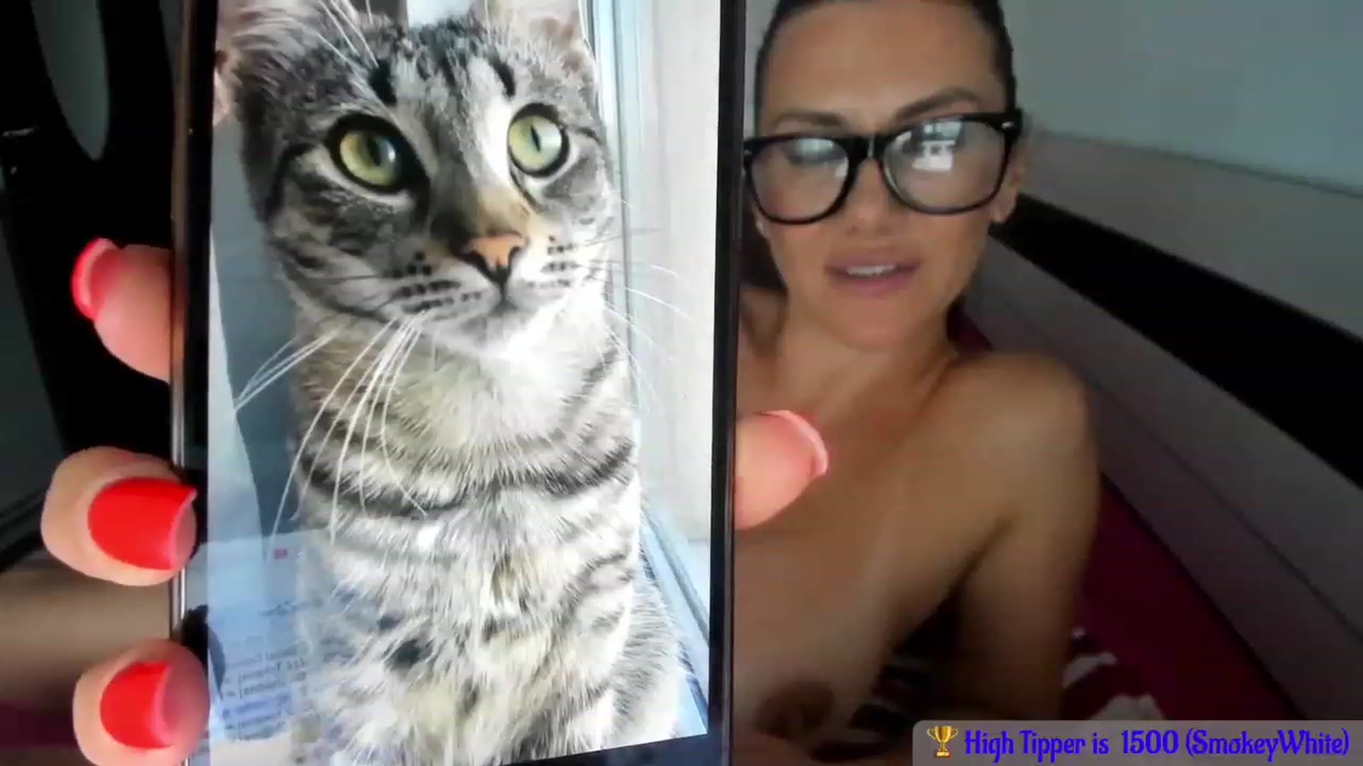 Gallery image thumbnail from All_Mighty_'s myfreecams stream on, 07/31/2023, 17:33 image 7 of 20