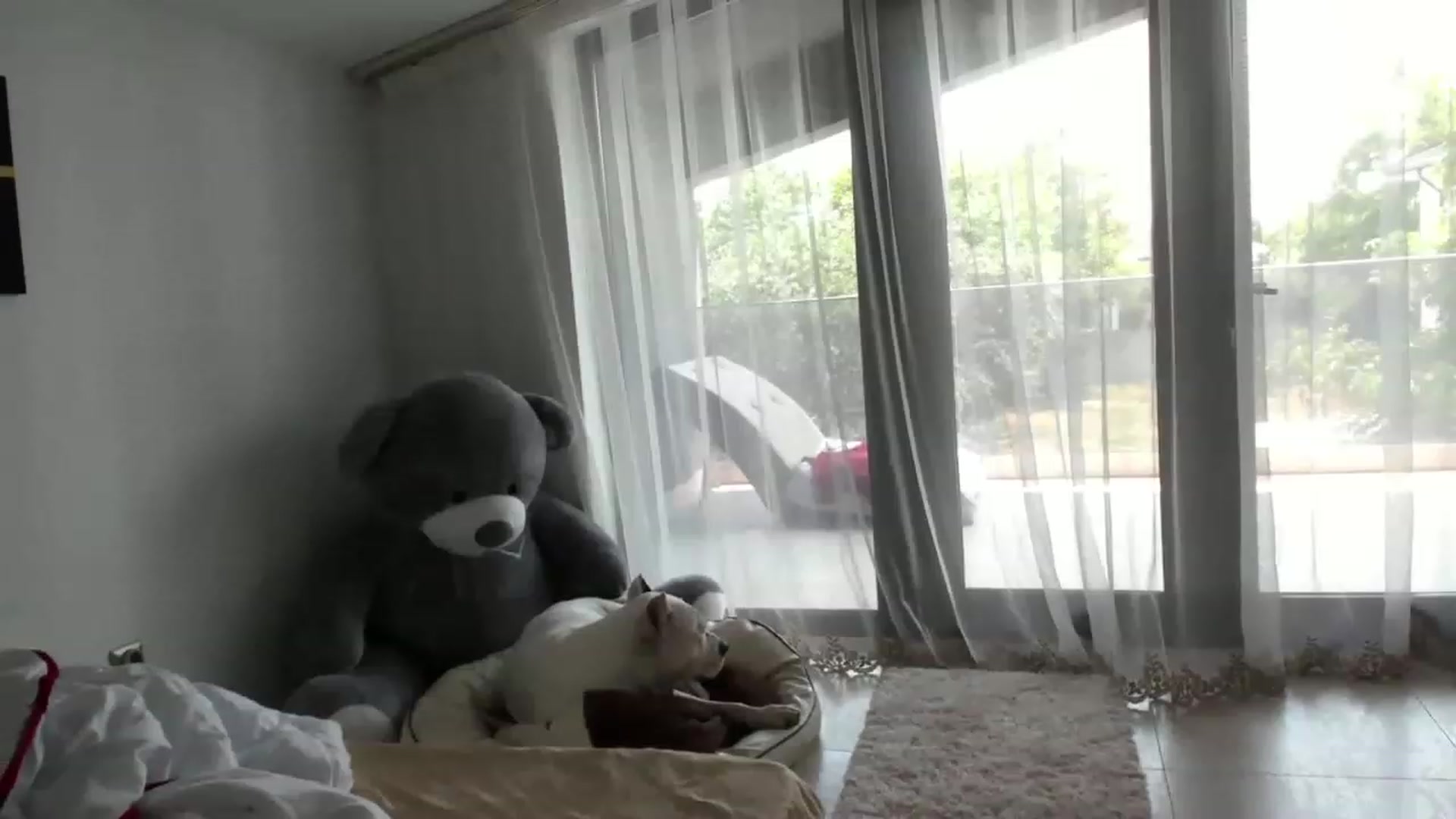 Gallery image thumbnail from Allesia_'s myfreecams stream on, 06/13/2023, 10:56 image 1 of 20