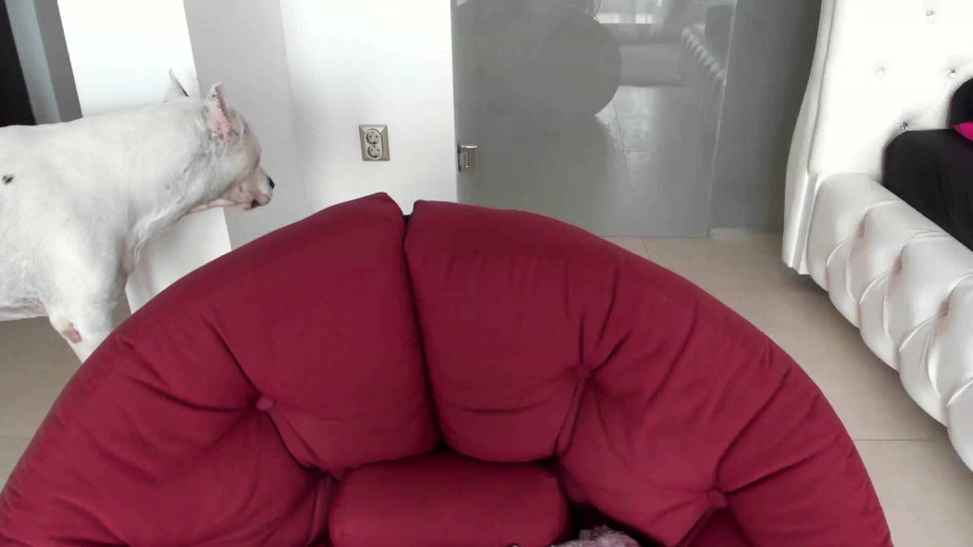 Gallery image thumbnail from Allesia_'s myfreecams stream on, 02/10/2024, 11:13 image 19 of 20