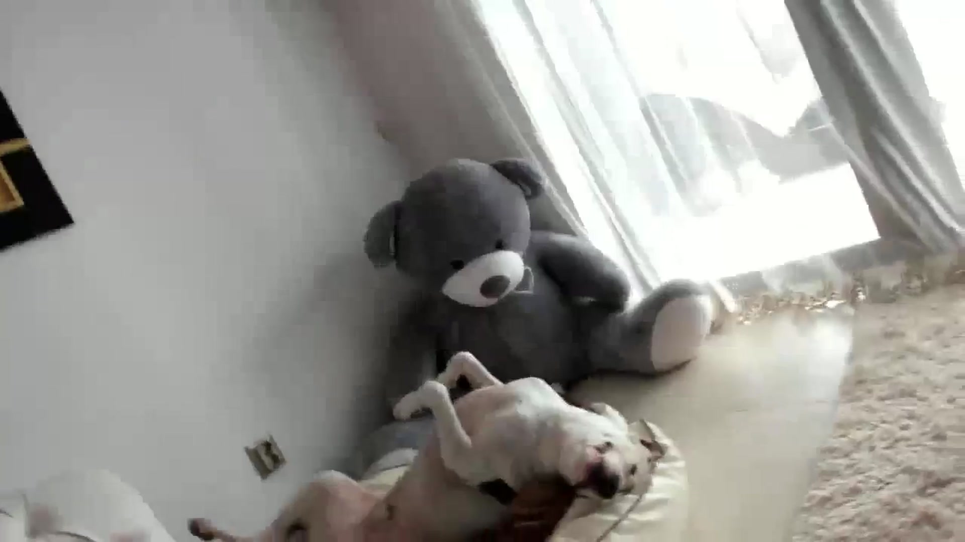 Gallery image thumbnail from Allesia_'s myfreecams stream on, 02/11/2024, 11:28 image 19 of 20