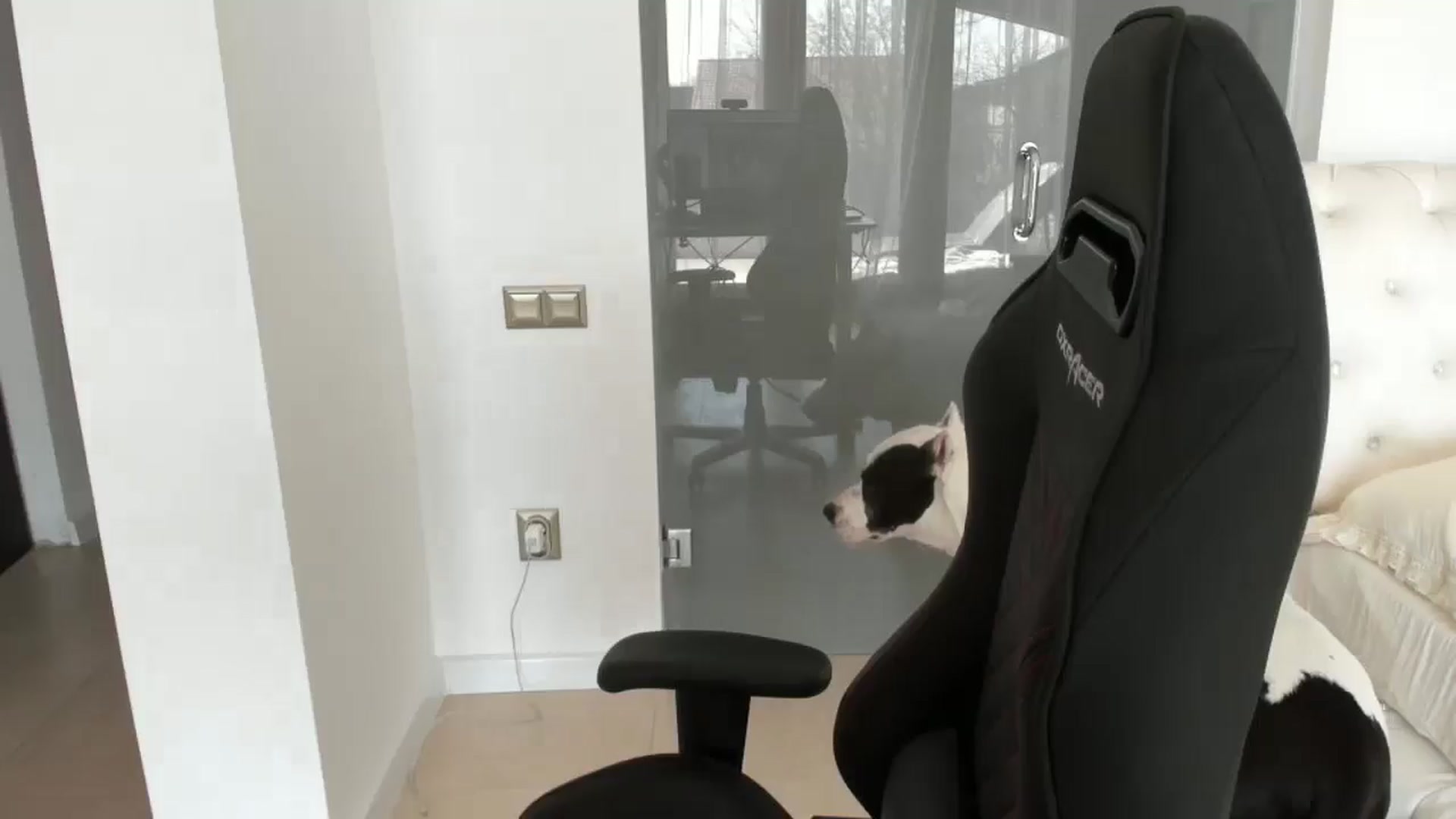 Gallery image thumbnail from Allesia_'s myfreecams stream on, 03/07/2025, 11:15 image 3 of 20