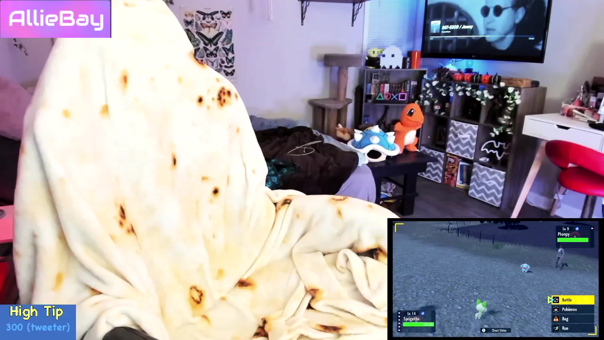 Gallery image thumbnail from AllieBay's myfreecams stream on, 11/19/2022, 03:35 image 11 of 20