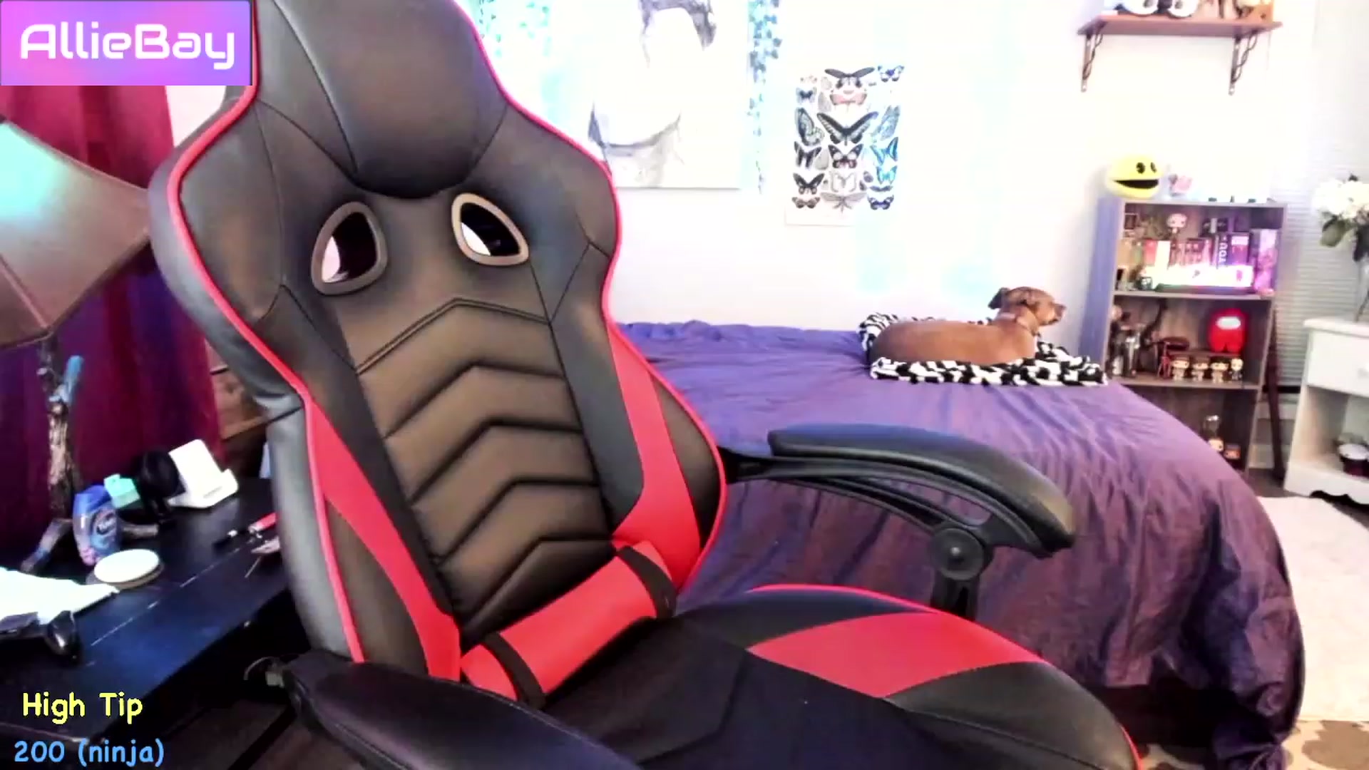 Gallery image thumbnail from AllieBay's myfreecams stream on, 04/28/2023, 03:50 image 15 of 20