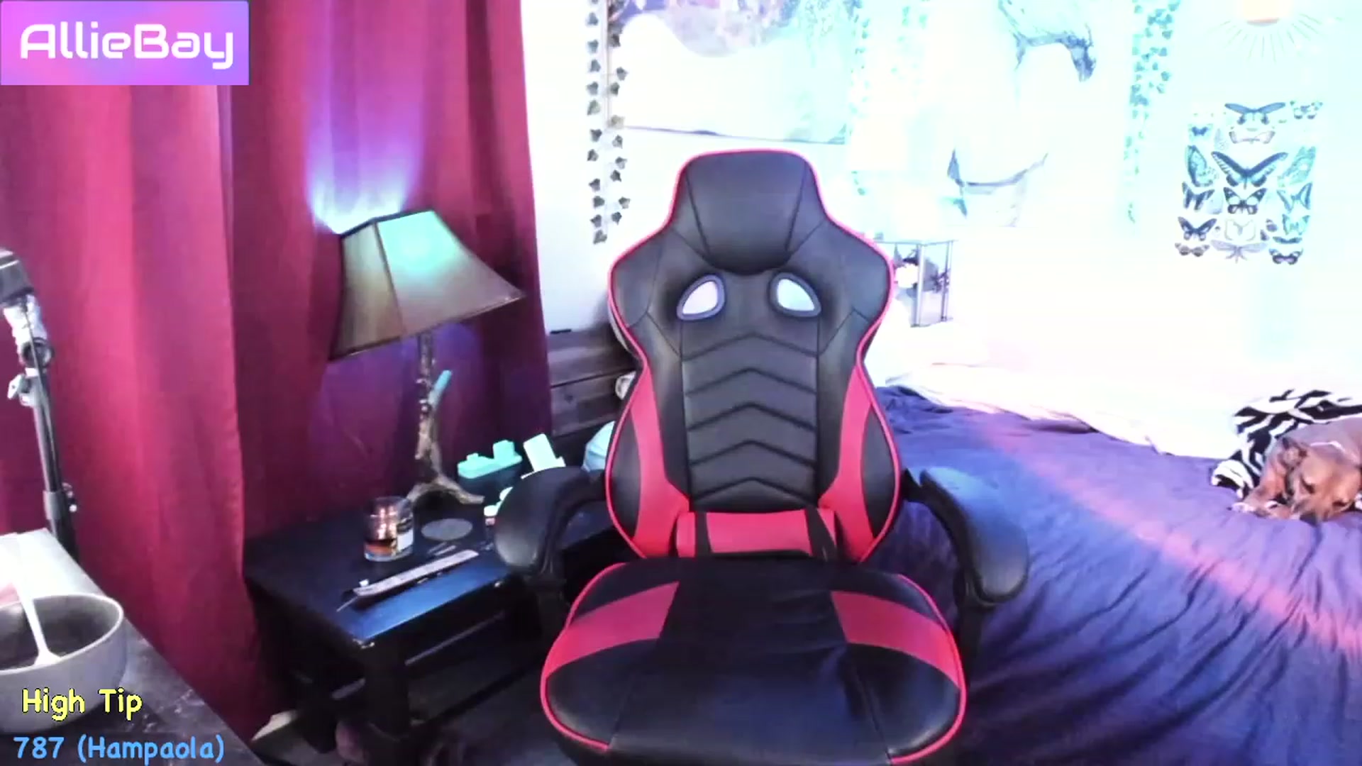 Gallery image thumbnail from AllieBay's myfreecams stream on, 04/29/2023, 05:43 image 20 of 20