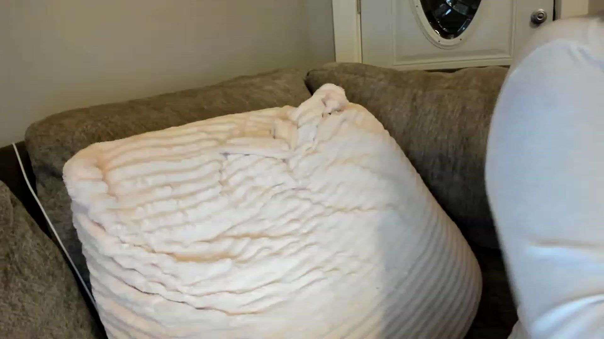 Gallery image thumbnail from AllieCat_94's myfreecams stream on, 01/03/2023, 08:49 image 19 of 20