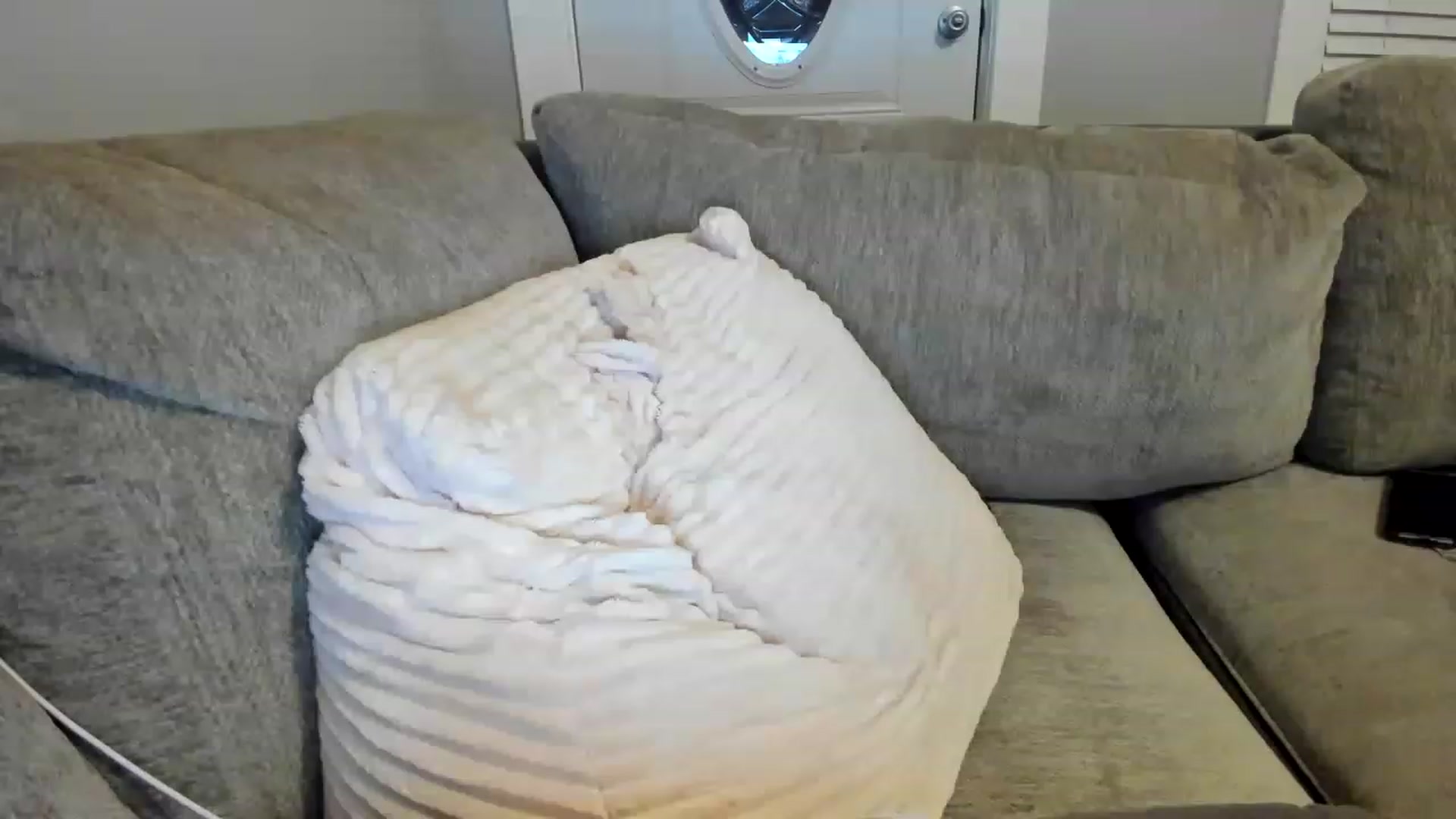 Gallery image thumbnail from AllieCat_94's myfreecams stream on, 01/09/2023, 07:55 image 16 of 20