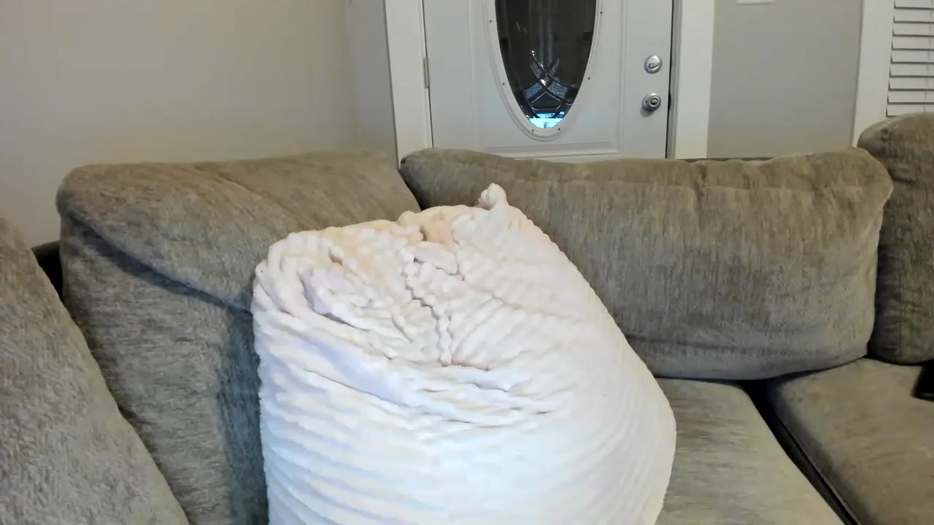 Gallery image thumbnail from AllieCat_94's myfreecams stream on, 01/09/2023, 08:31 image 7 of 20
