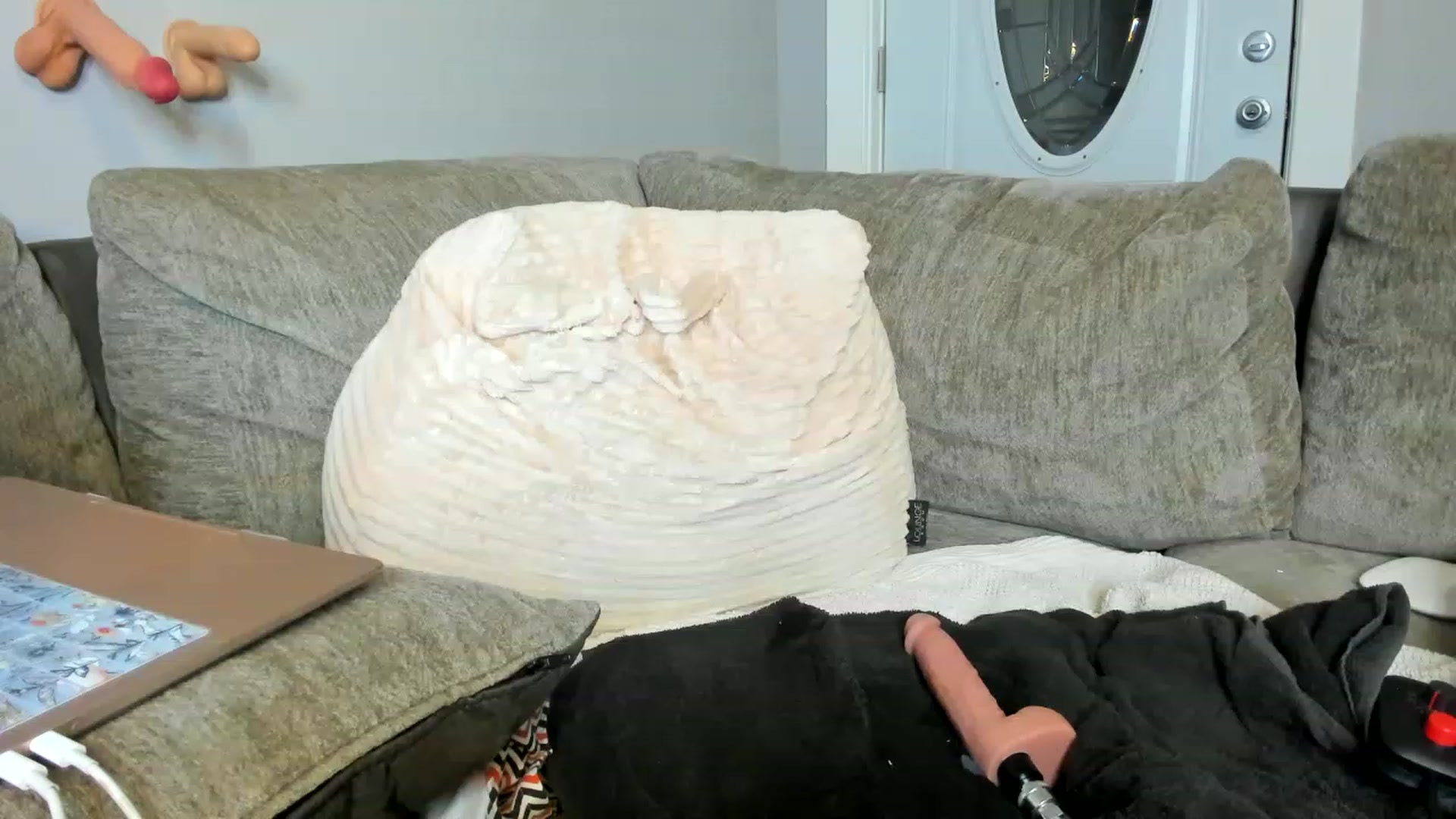 Gallery image thumbnail from AllieCat_94's myfreecams stream on, 02/27/2023, 06:16 image 11 of 20
