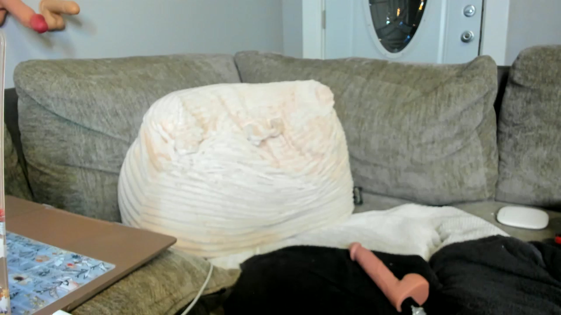 Gallery image thumbnail from AllieCat_94's myfreecams stream on, 02/27/2023, 06:36 image 15 of 20