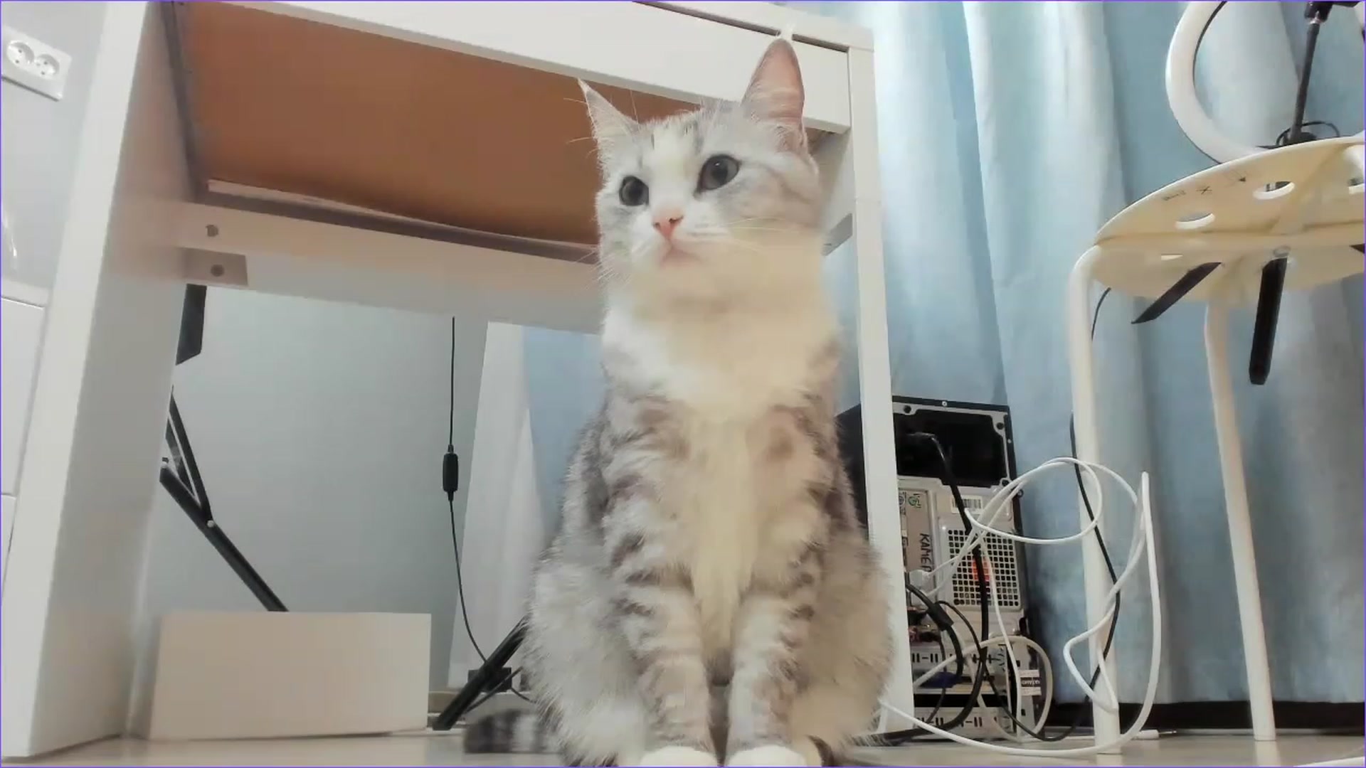 Gallery image thumbnail from AllieStark's myfreecams stream on, 11/23/2022, 03:00 image 13 of 20