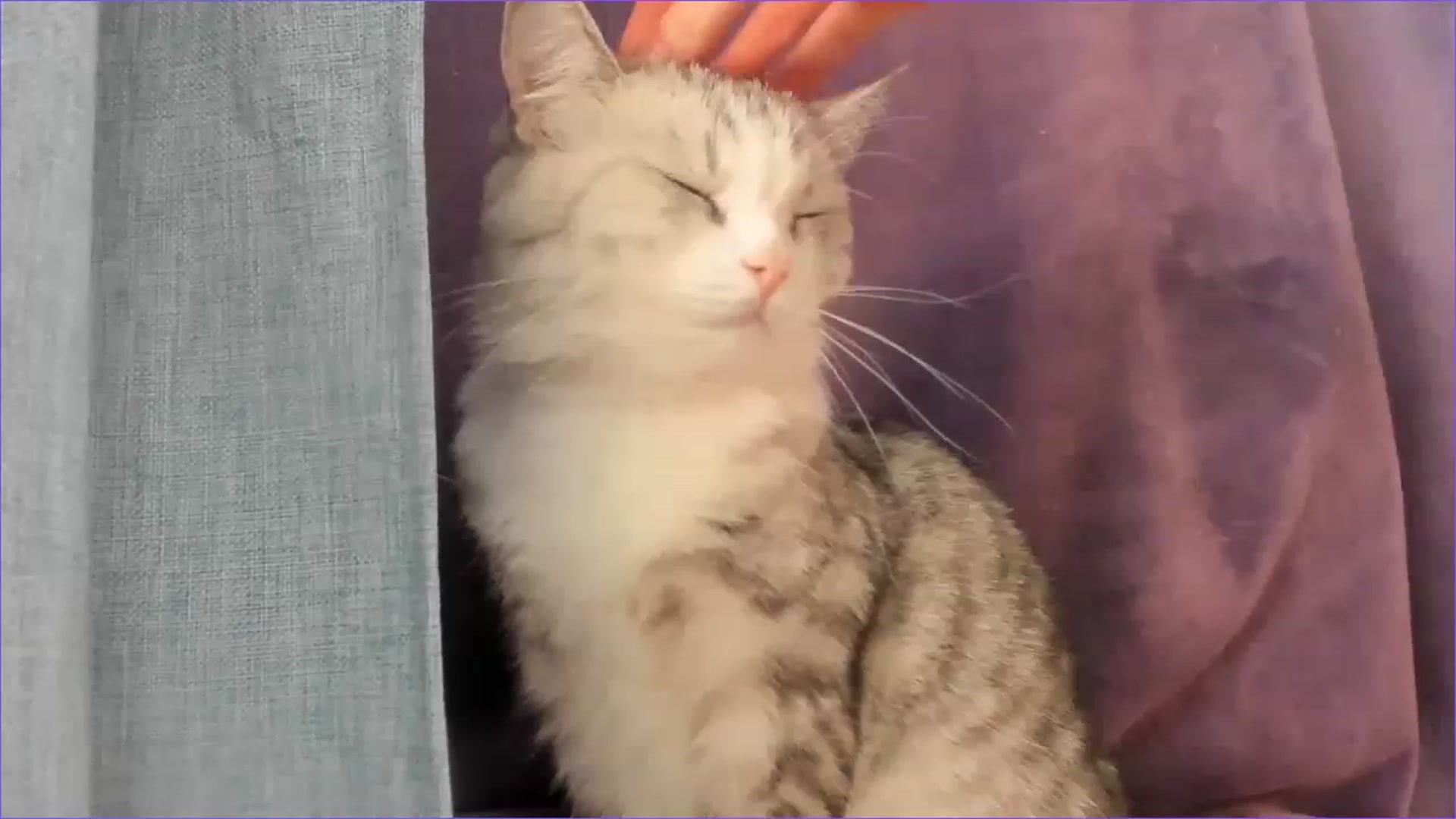 Gallery image thumbnail from AllieStark's myfreecams stream on, 11/28/2022, 03:49 image 19 of 20