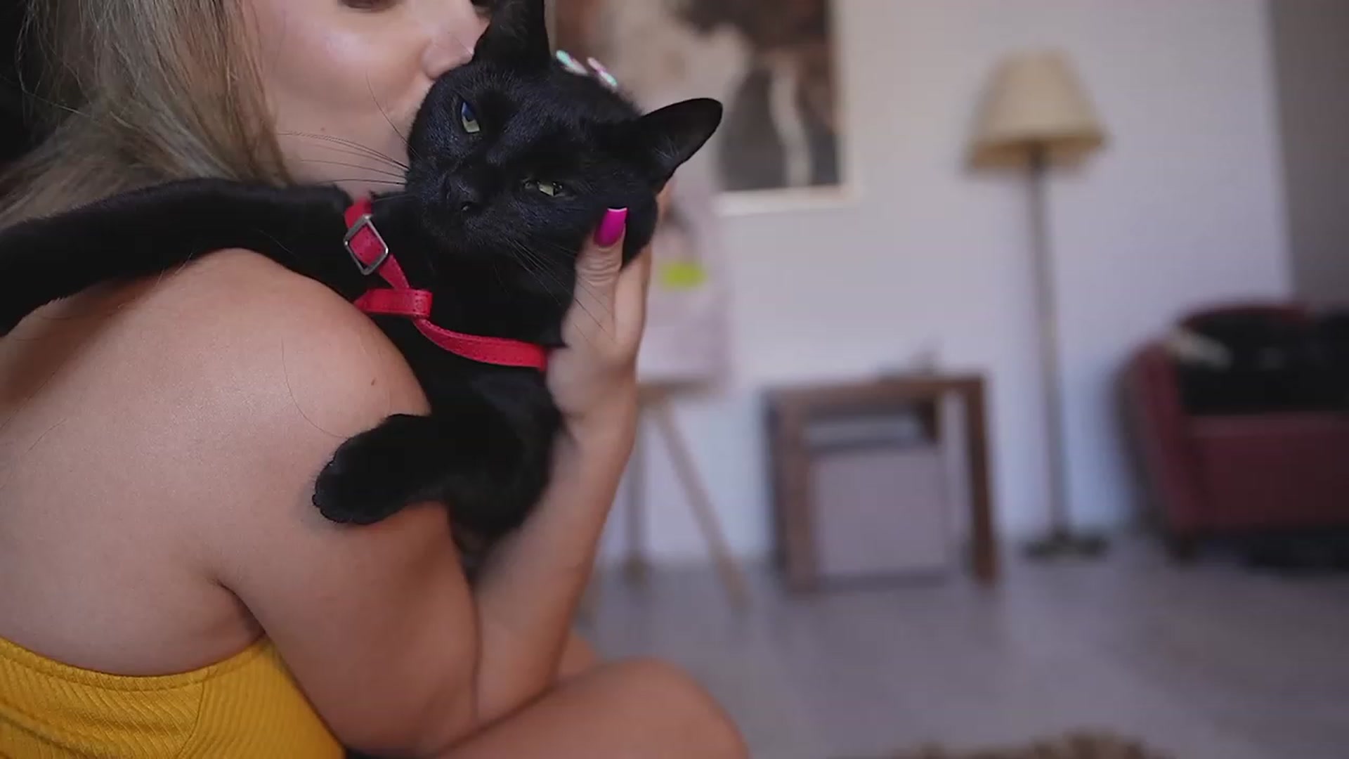 Gallery image thumbnail from Allie_Synn's myfreecams stream on, 09/03/2023, 12:40 image 15 of 20