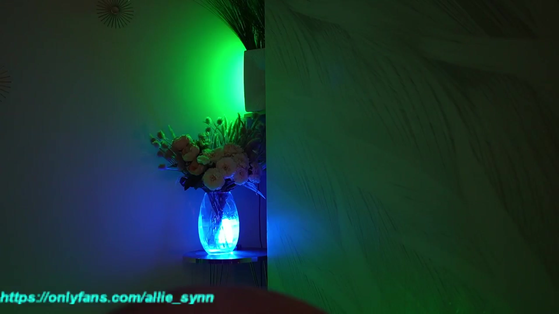 Gallery image thumbnail from Allie_Synn's myfreecams stream on, 10/06/2024, 09:23 image 15 of 20
