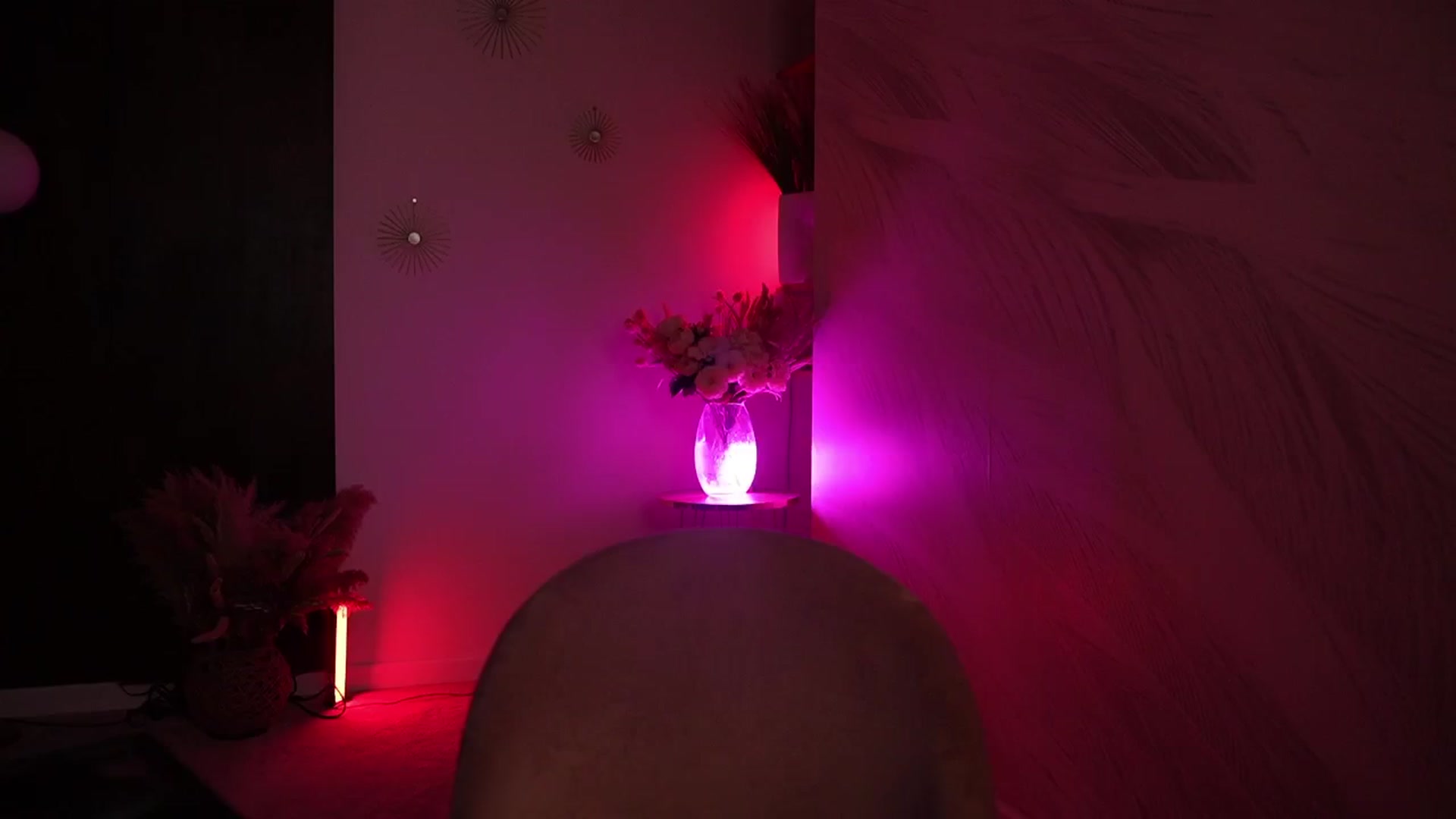 Gallery image thumbnail from Allie_Synn's myfreecams stream on, 11/11/2024, 08:03 image 3 of 20