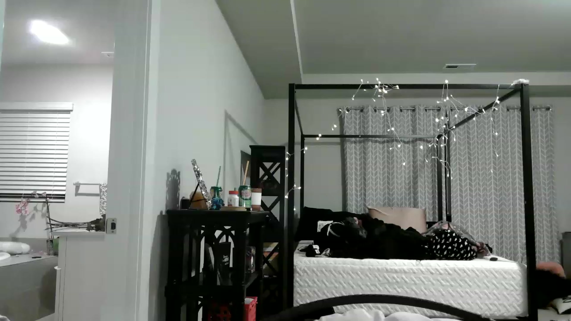 Gallery image thumbnail from Alliecat001's myfreecams stream on, 01/27/2023, 11:03 image 2 of 20