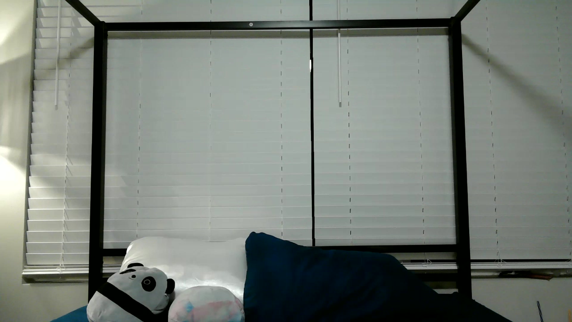 Gallery image thumbnail from Alliecat001's myfreecams stream on, 05/09/2023, 10:24 image 7 of 20
