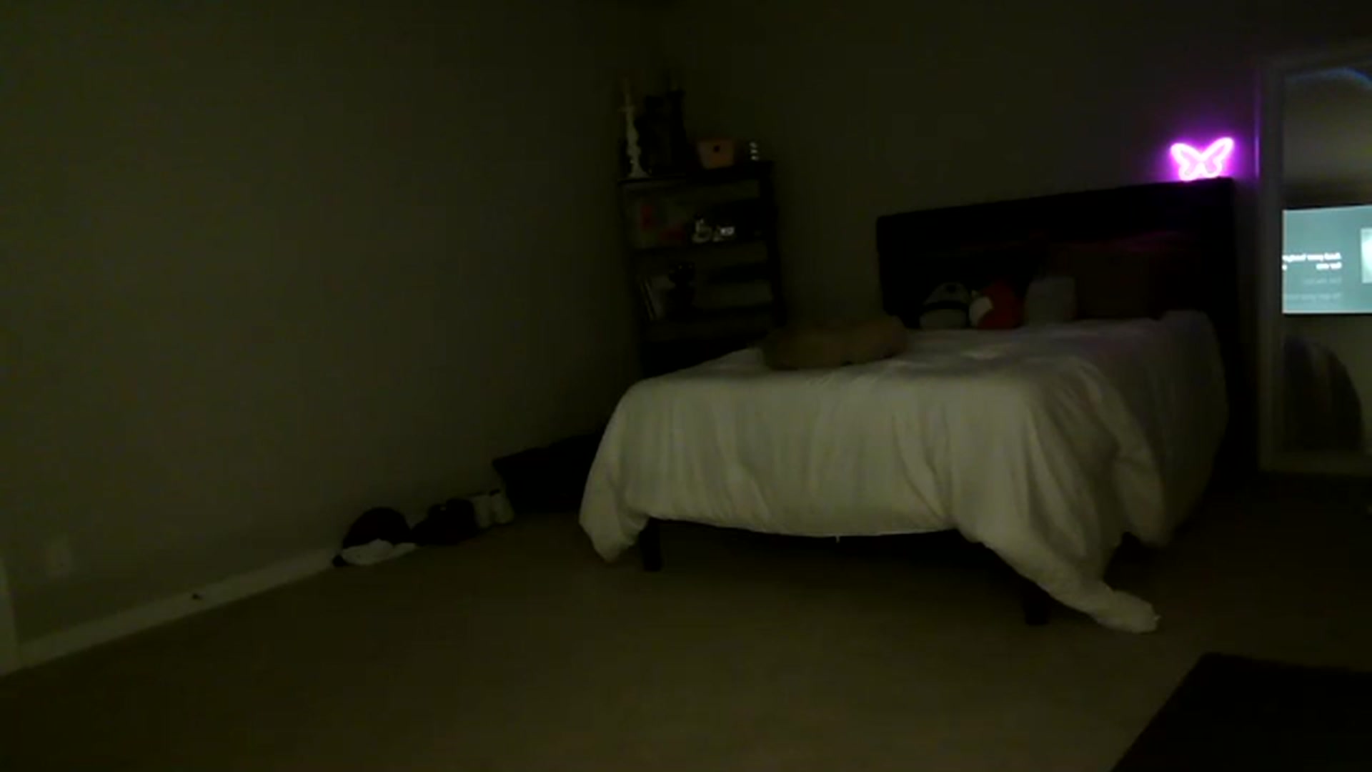 Gallery image thumbnail from Alliecat001's myfreecams stream on, 11/25/2023, 07:40 image 6 of 20