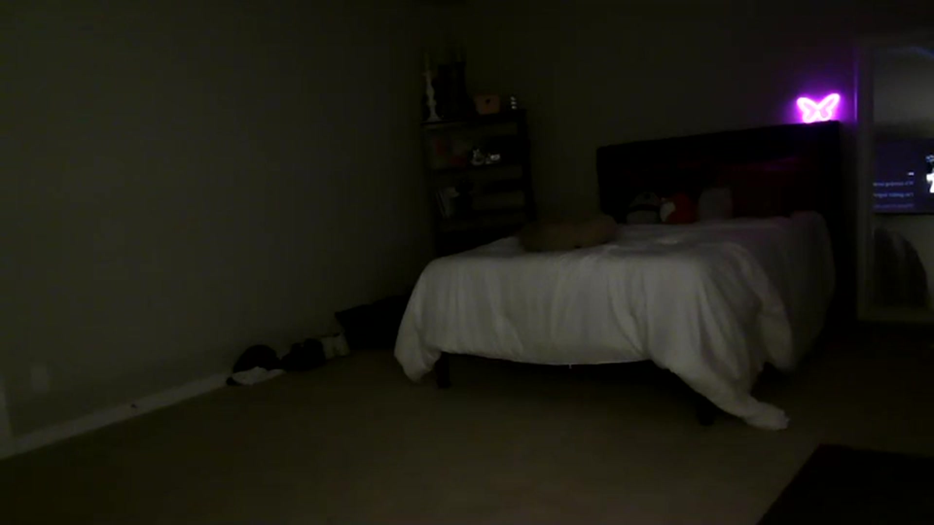 Gallery image thumbnail from Alliecat001's myfreecams stream on, 11/25/2023, 07:40 image 7 of 20