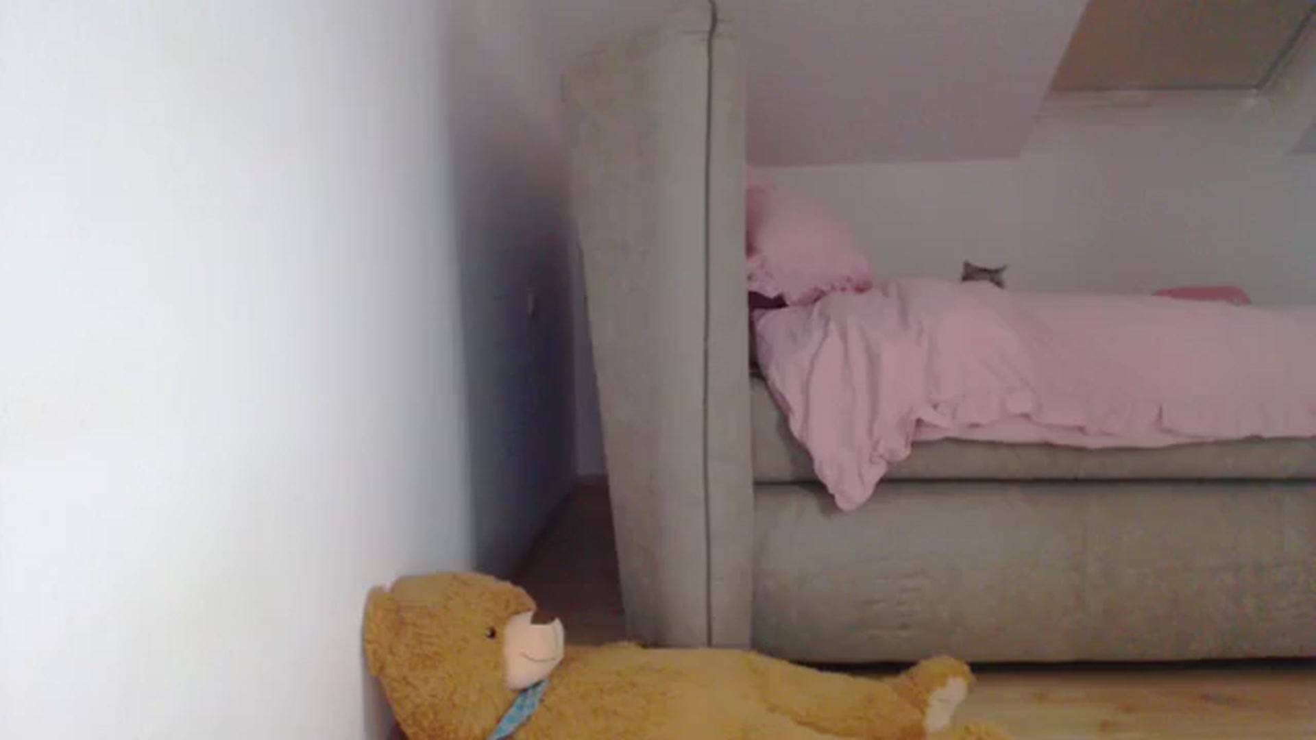 Gallery image thumbnail from AllleeS's myfreecams stream on, 09/11/2024, 13:58 image 7 of 20