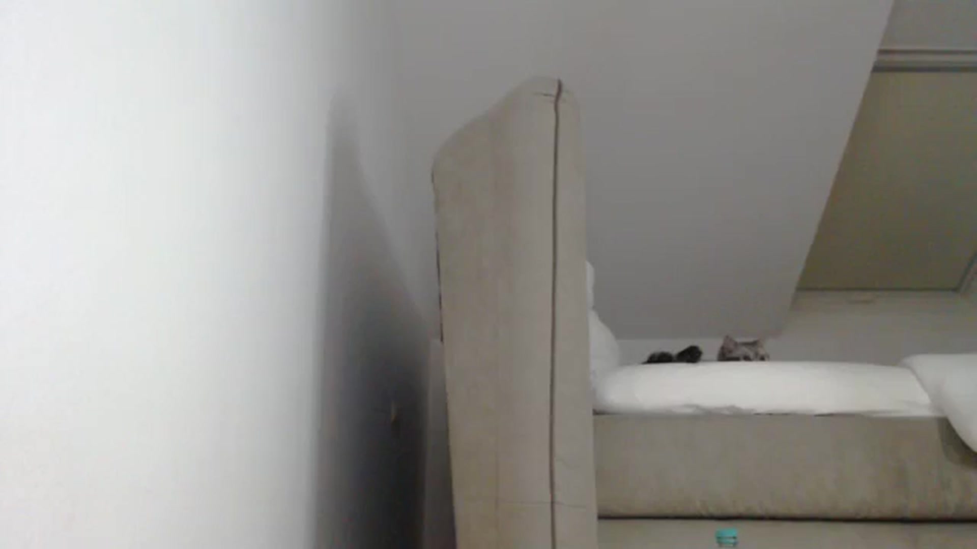Gallery image thumbnail from AllleeS's myfreecams stream on, 01/08/2025, 14:24 image 20 of 20