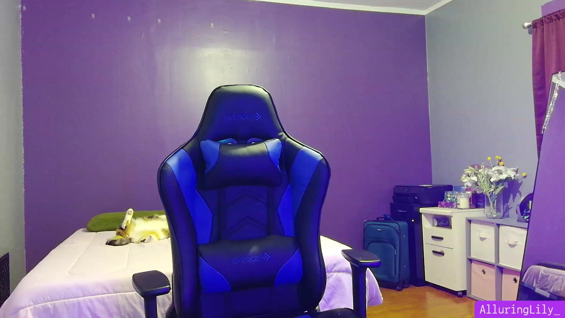 Gallery image thumbnail from AlluringLily_'s myfreecams stream on, 02/26/2024, 03:55 image 6 of 20