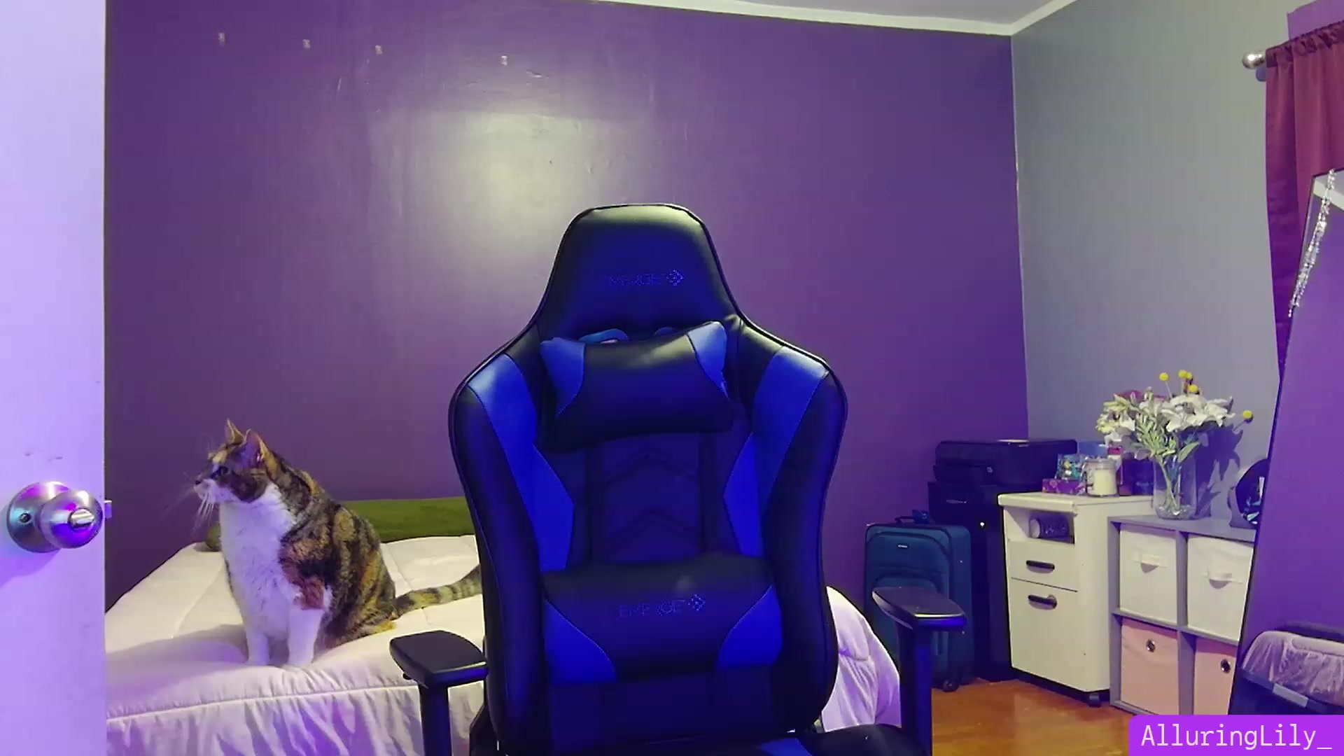 Gallery image thumbnail from AlluringLily_'s myfreecams stream on, 02/26/2024, 03:55 image 7 of 20