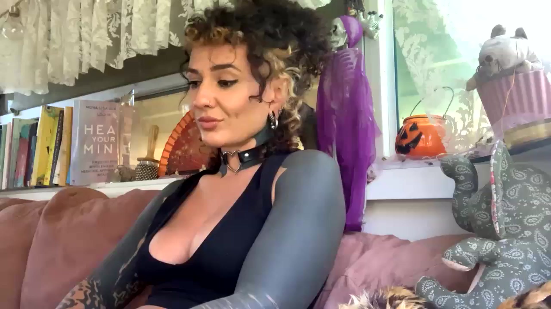 Gallery image thumbnail from Alt_Aussie's myfreecams stream on, 10/24/2023, 07:29 image 16 of 20
