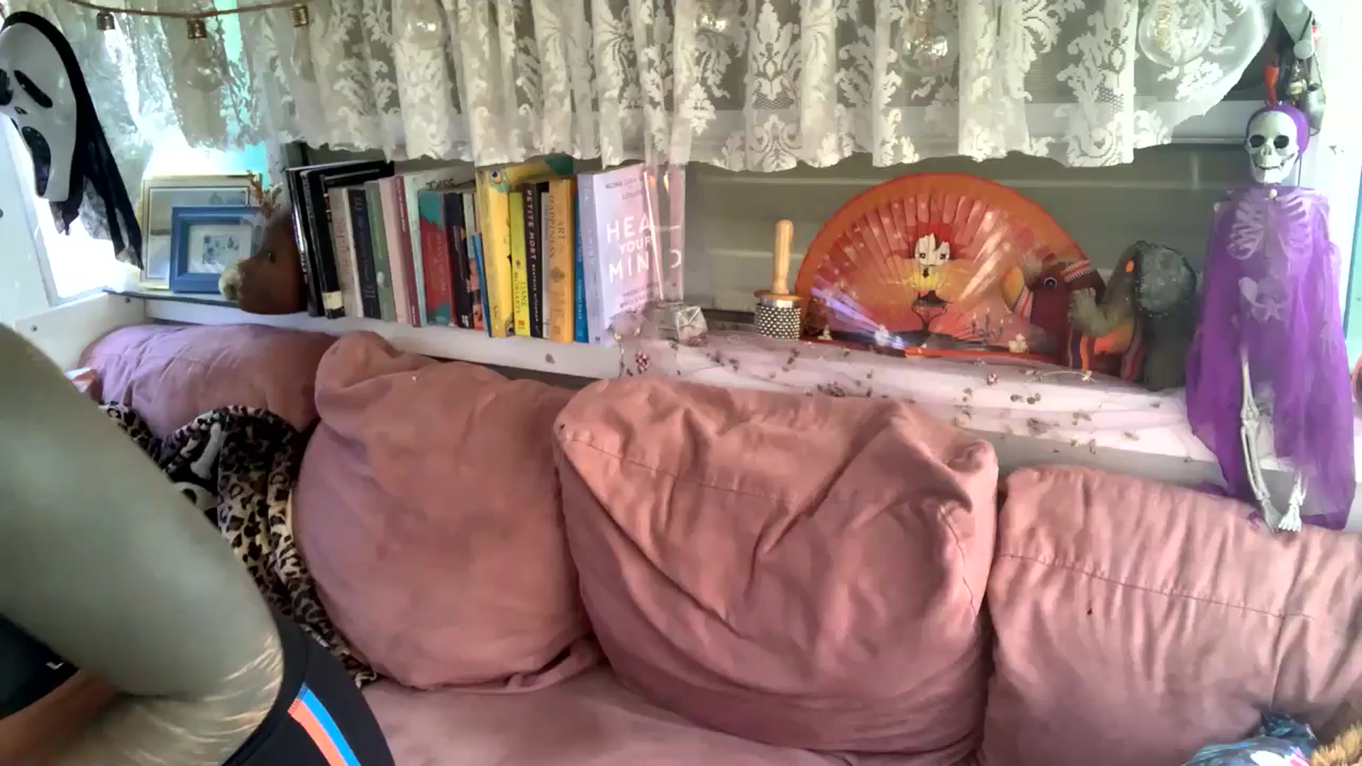 Gallery image thumbnail from Alt_Aussie's myfreecams stream on, 10/27/2023, 04:24 image 15 of 20