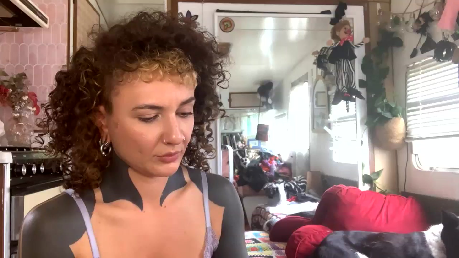 Gallery image thumbnail from Alt_Aussie's myfreecams stream on, 11/08/2023, 05:54 image 18 of 20