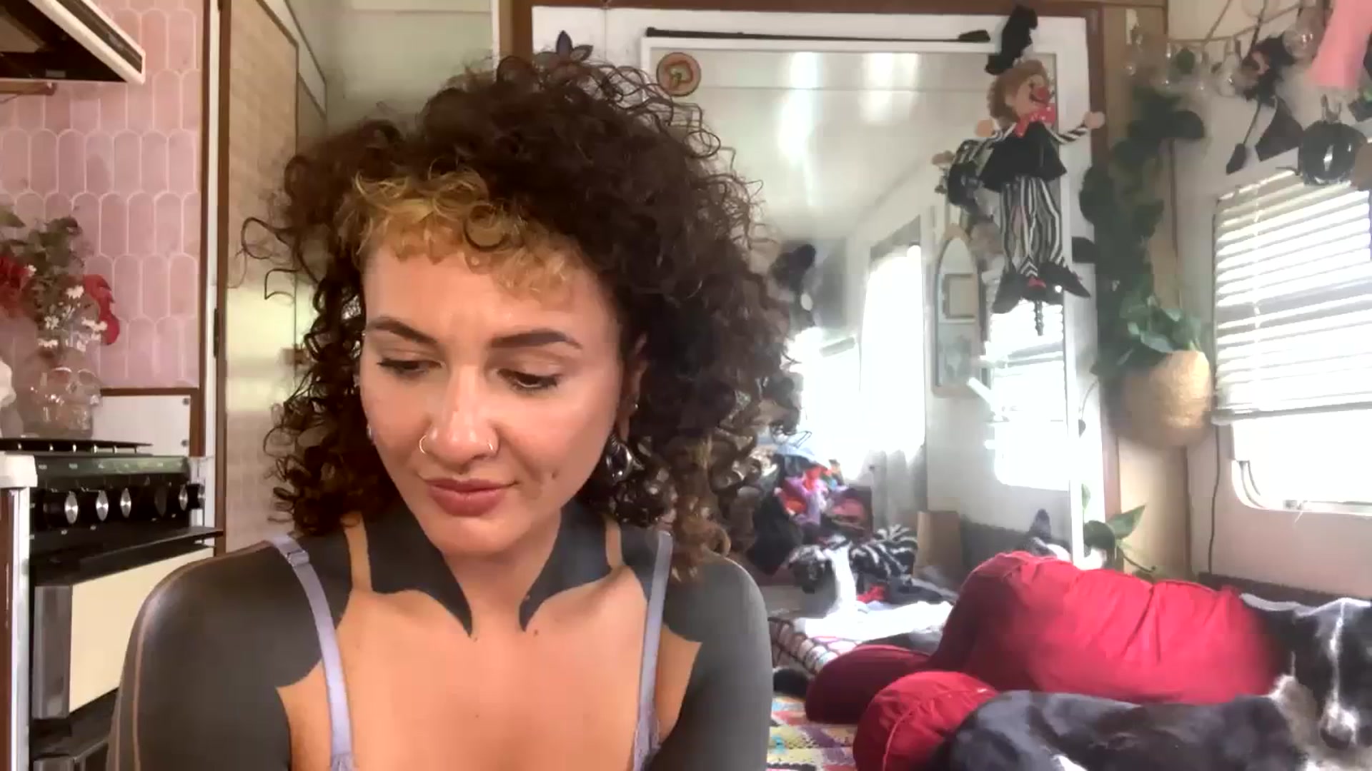 Gallery image thumbnail from Alt_Aussie's myfreecams stream on, 11/08/2023, 05:54 image 19 of 20