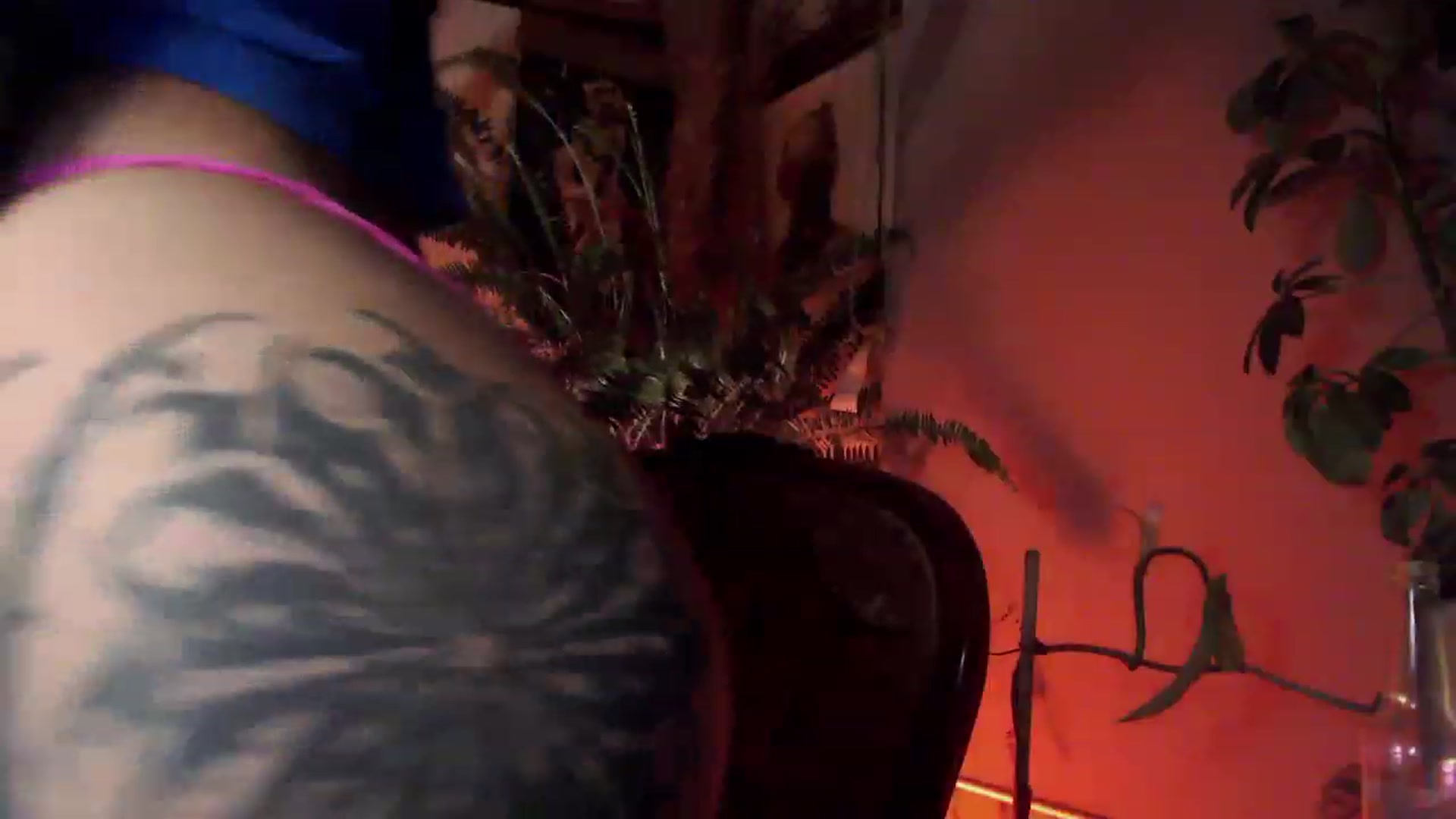Gallery image thumbnail from Alt_Aussie's myfreecams stream on, 12/07/2023, 12:09 image 19 of 20