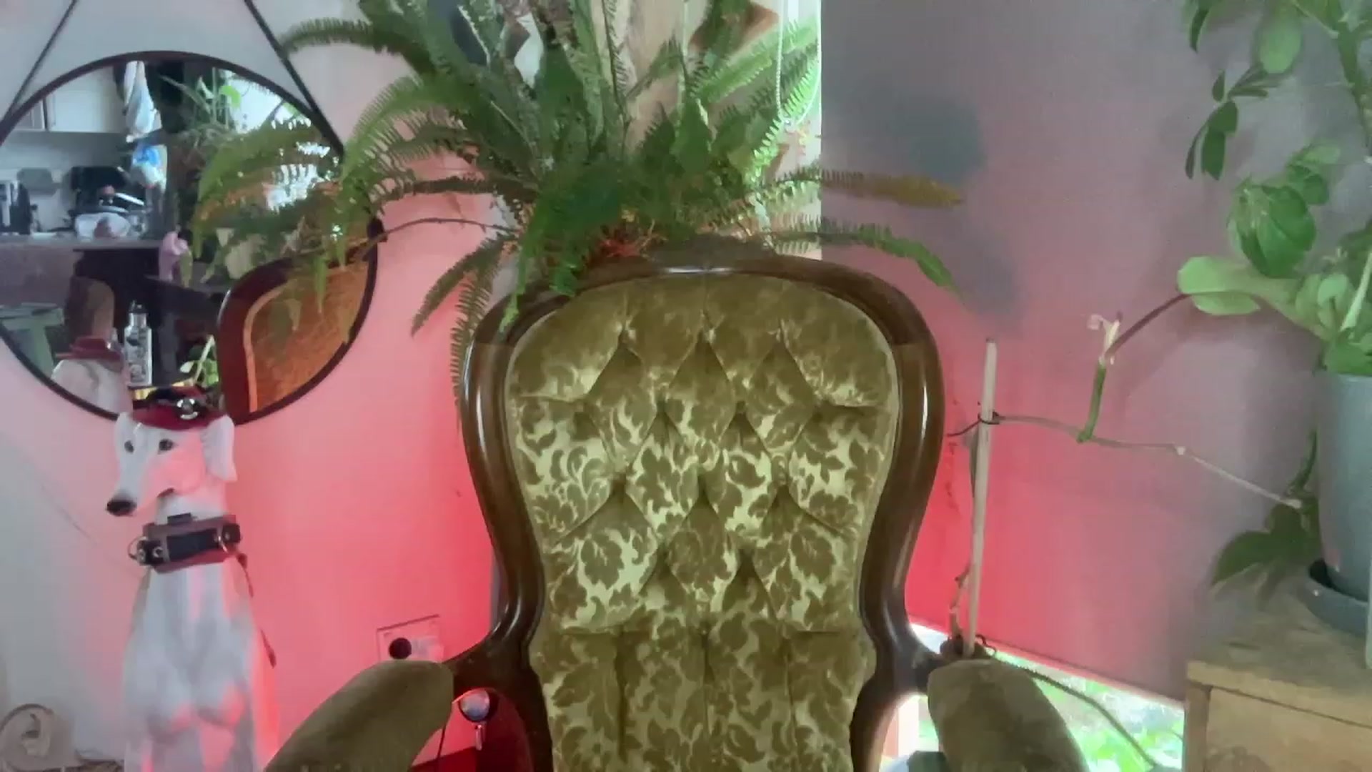 Gallery image thumbnail from Alt_Aussie's myfreecams stream on, 12/10/2023, 05:58 image 11 of 20
