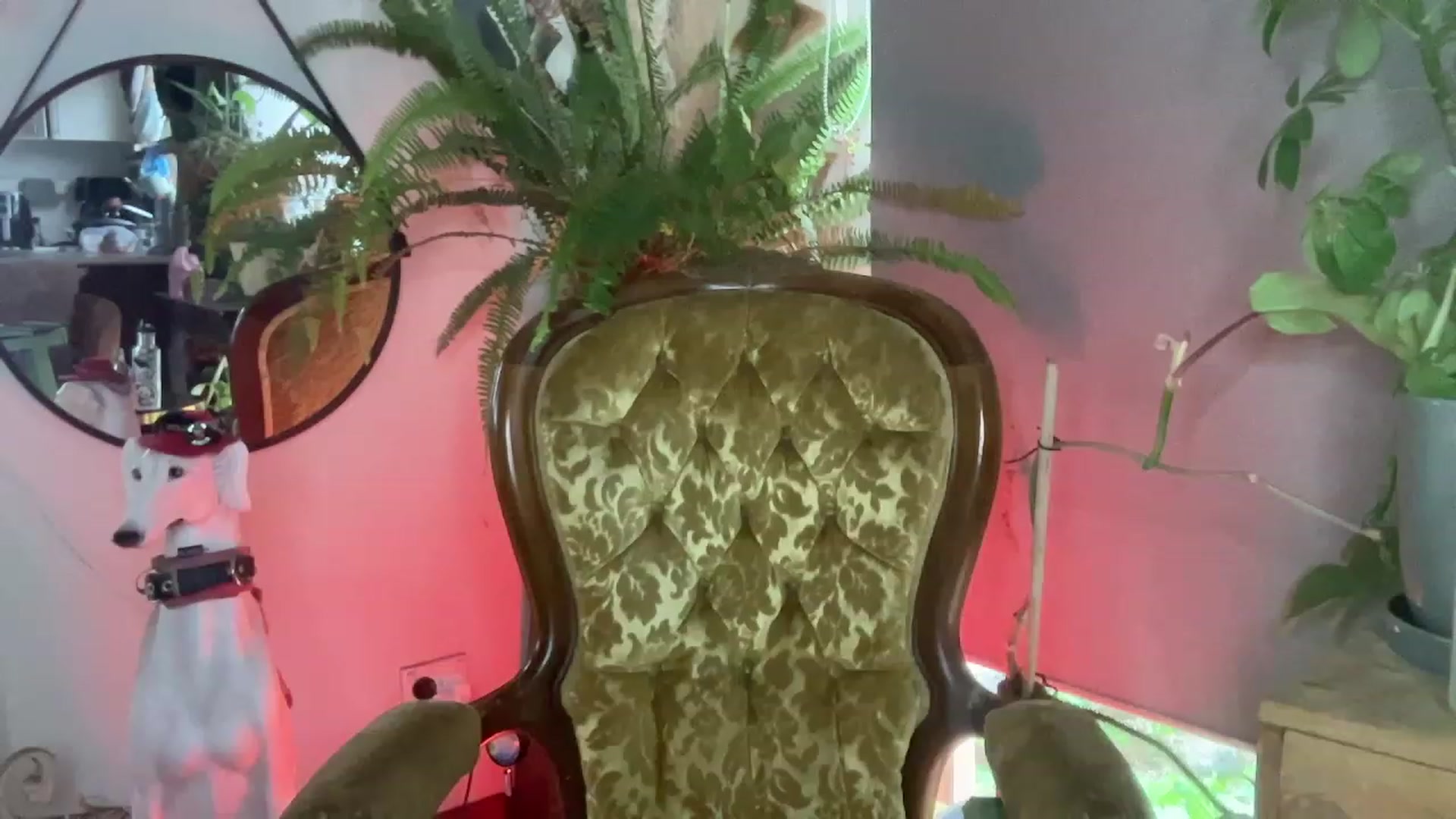 Gallery image thumbnail from Alt_Aussie's myfreecams stream on, 12/10/2023, 05:58 image 10 of 20