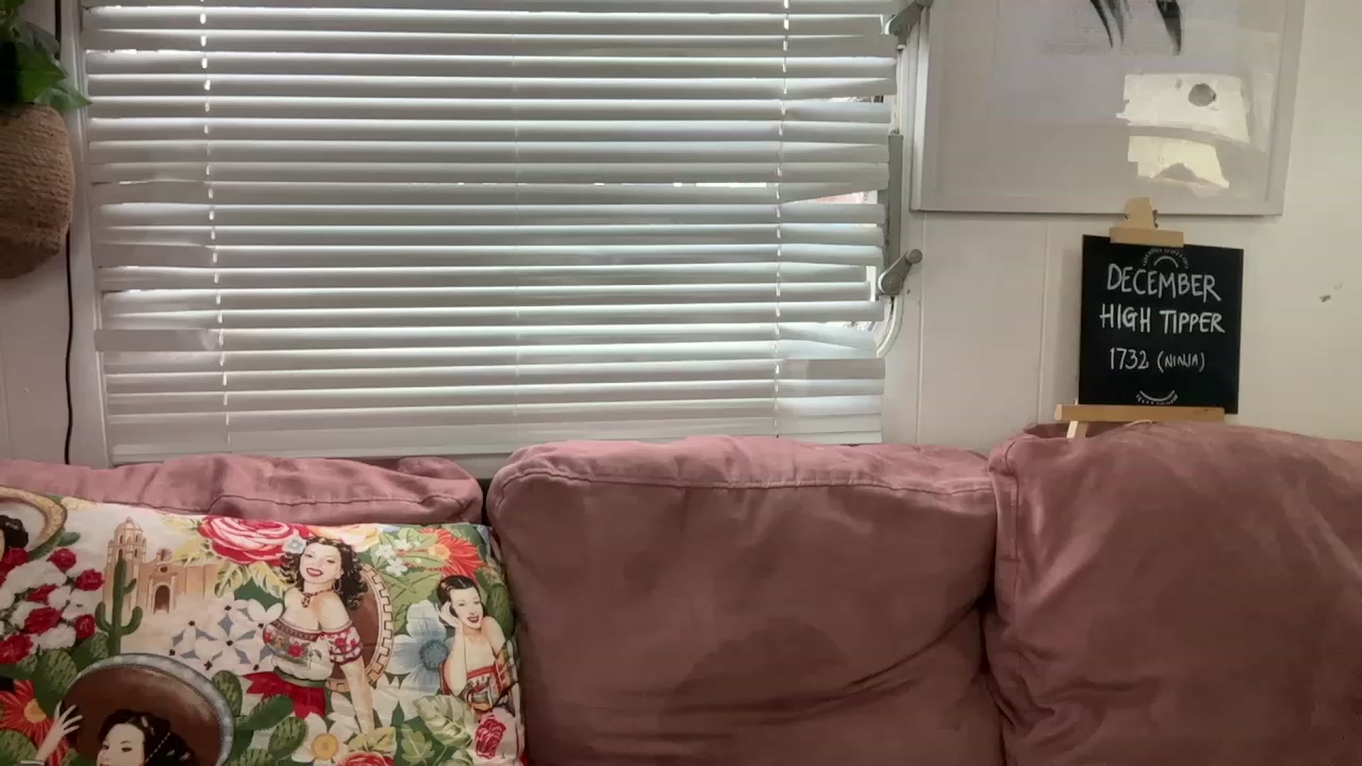 Gallery image thumbnail from Alt_Aussie's myfreecams stream on, 12/12/2023, 05:47 image 18 of 20