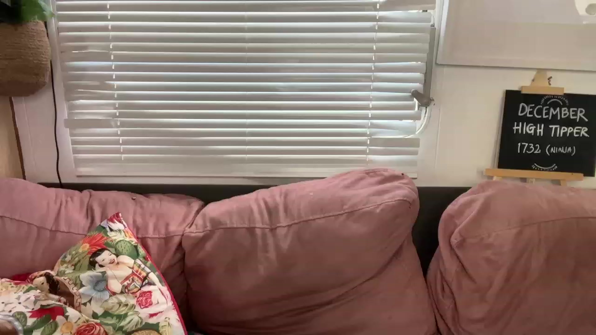 Gallery image thumbnail from Alt_Aussie's myfreecams stream on, 12/15/2023, 04:36 image 18 of 20