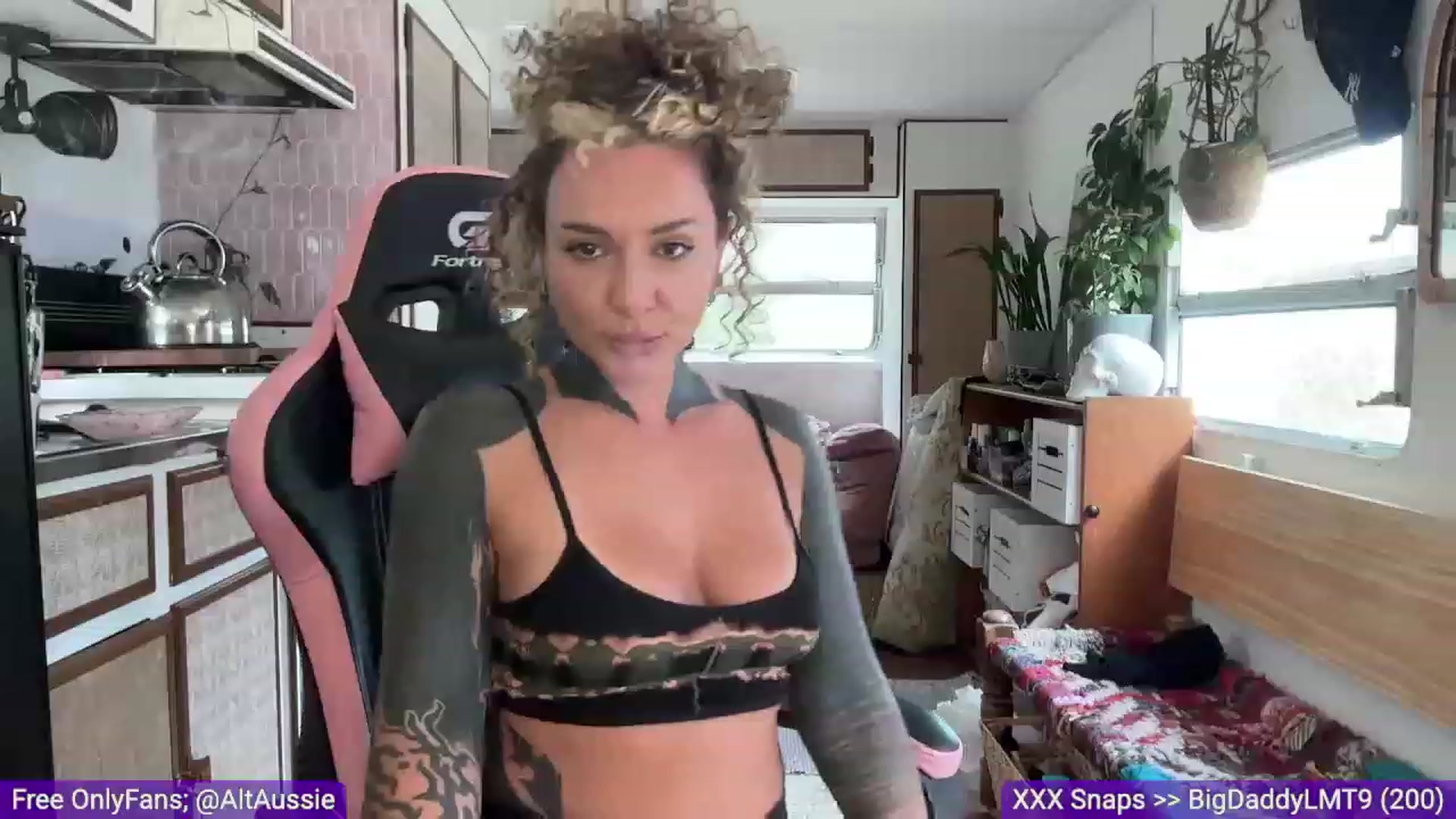 Gallery image thumbnail from Alt_Aussie's myfreecams stream on, 02/25/2024, 03:35 image 13 of 20