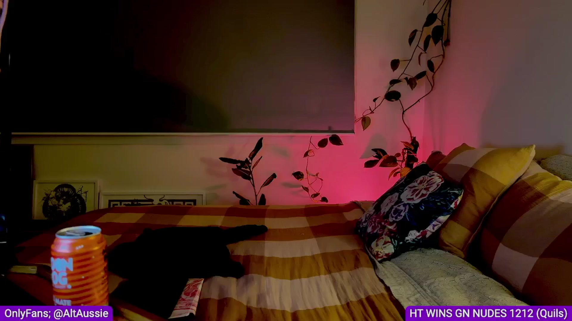 Gallery image thumbnail from Alt_Aussie's myfreecams stream on, 06/30/2024, 09:33 image 16 of 20