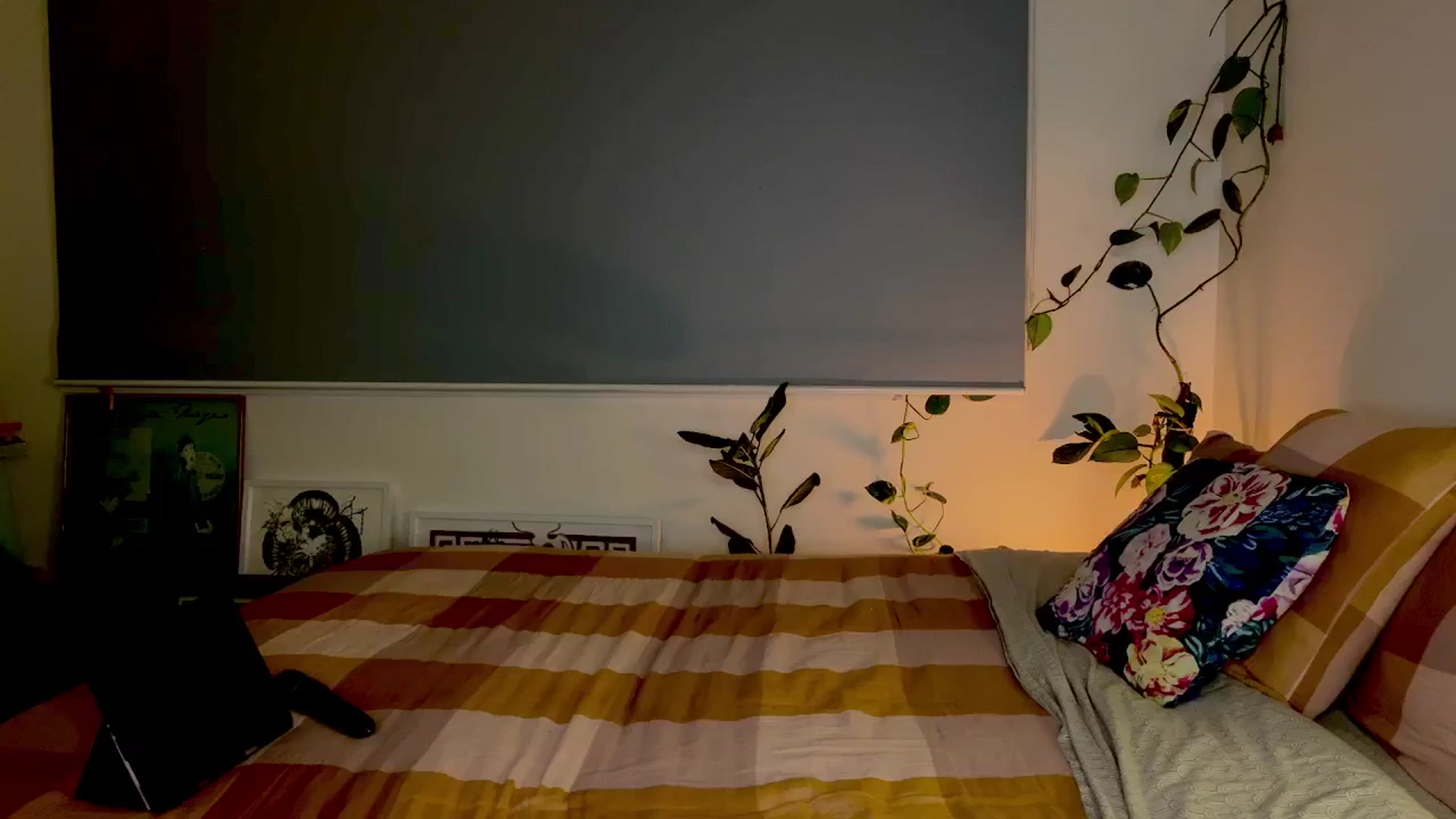 Gallery image thumbnail from Alt_Aussie's myfreecams stream on, 07/01/2024, 10:00 image 9 of 20