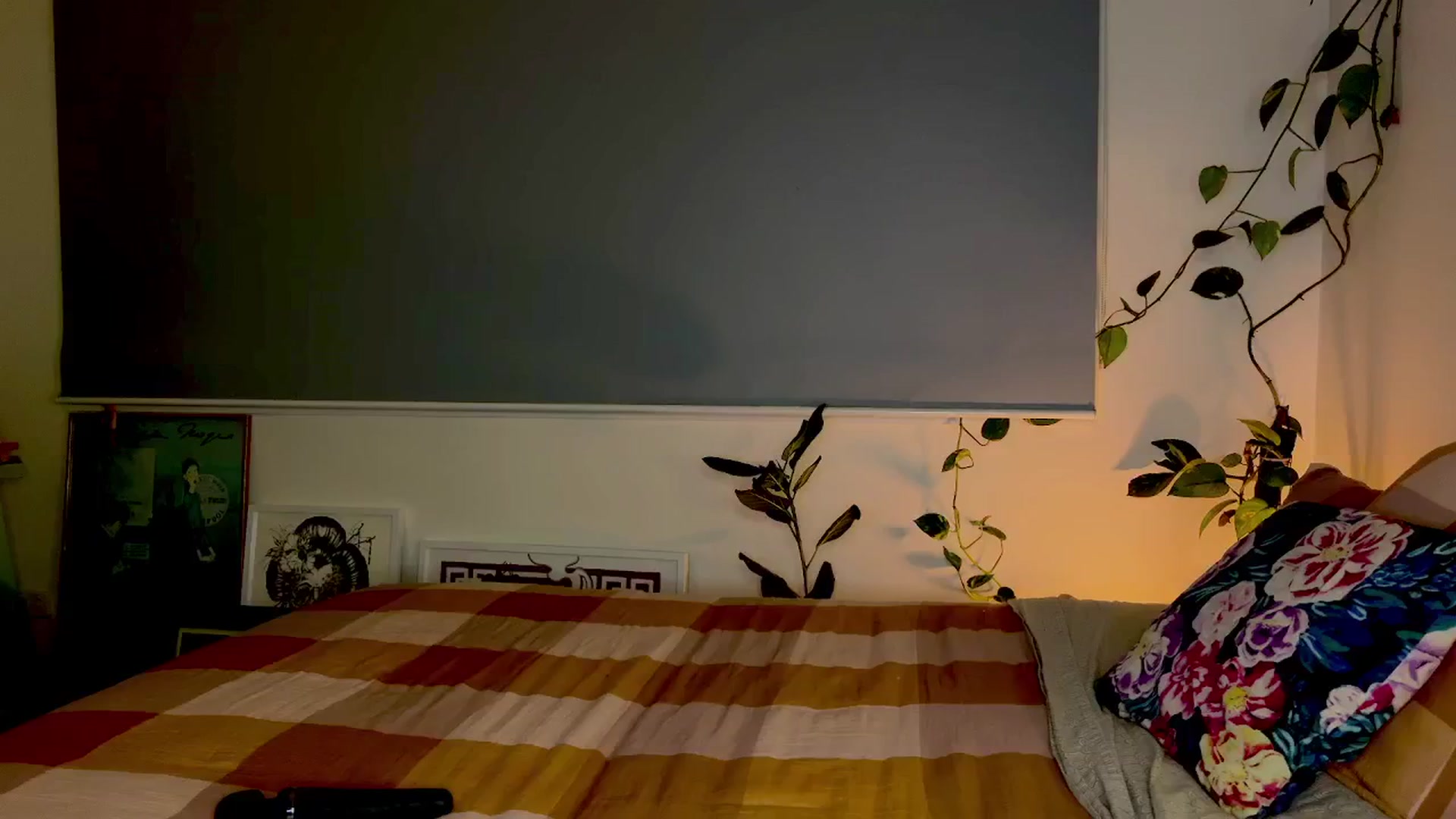 Gallery image thumbnail from Alt_Aussie's myfreecams stream on, 07/01/2024, 10:00 image 17 of 20