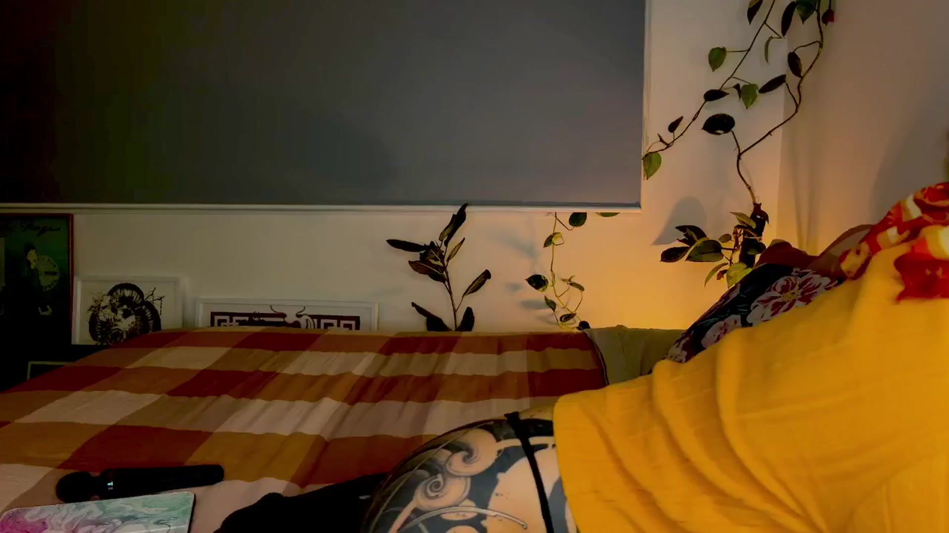 Gallery image thumbnail from Alt_Aussie's myfreecams stream on, 07/01/2024, 10:00 image 15 of 20