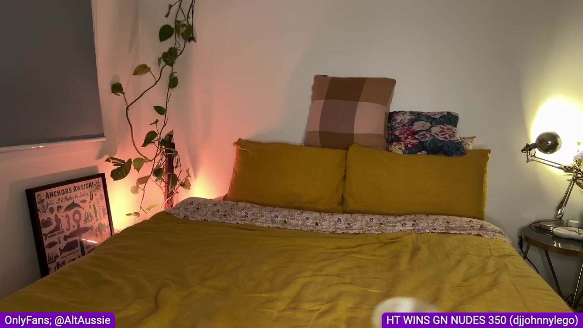Gallery image thumbnail from Alt_Aussie's myfreecams stream on, 07/15/2024, 10:48 image 16 of 20