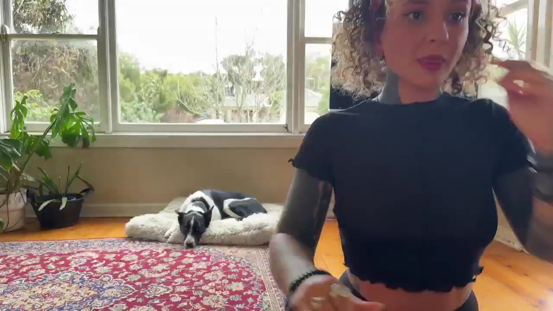 Gallery image thumbnail from Alt_Aussie's myfreecams stream on, 08/23/2024, 06:50 image 1 of 20