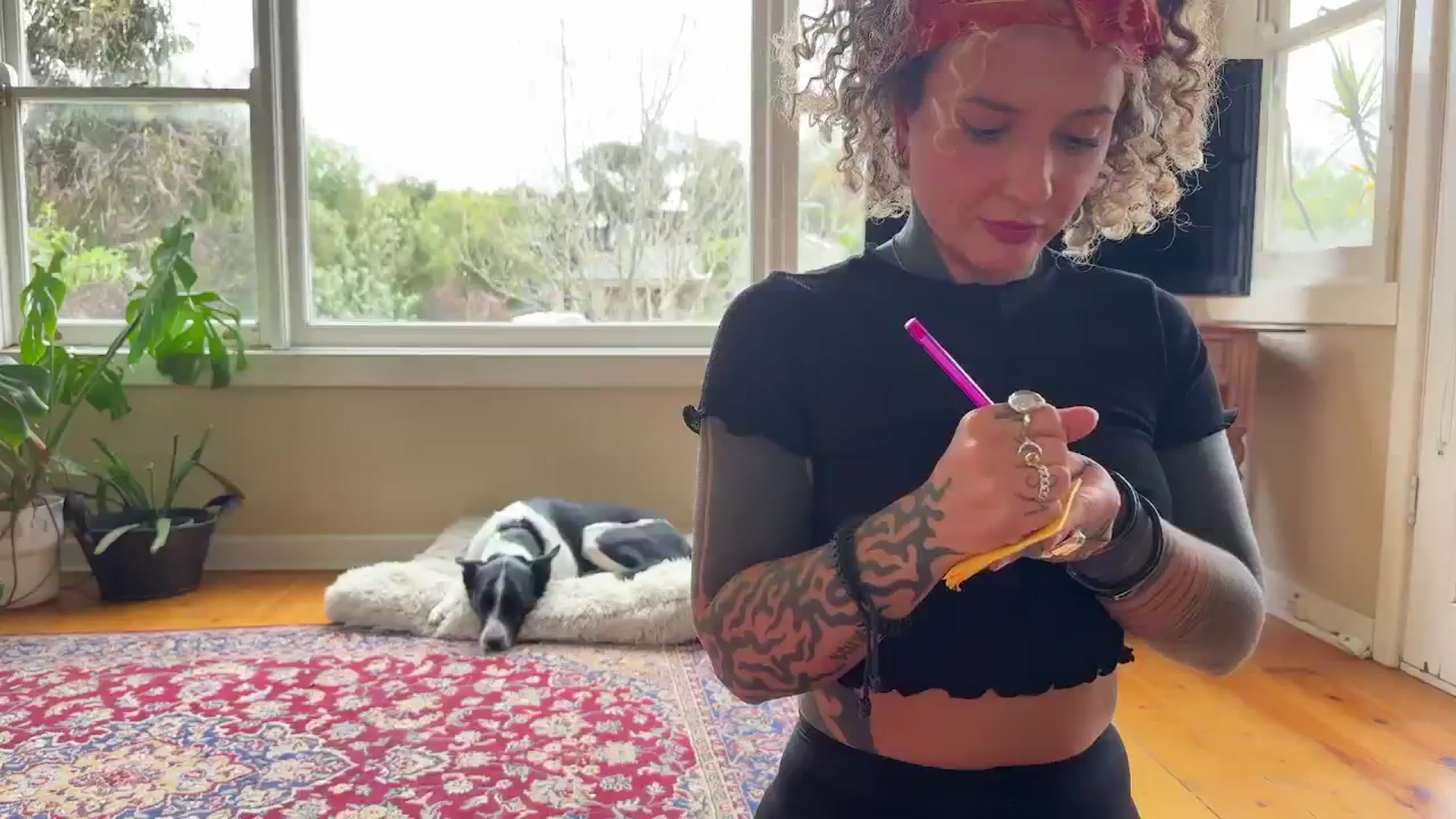 Gallery image thumbnail from Alt_Aussie's myfreecams stream on, 08/23/2024, 06:50 image 3 of 20