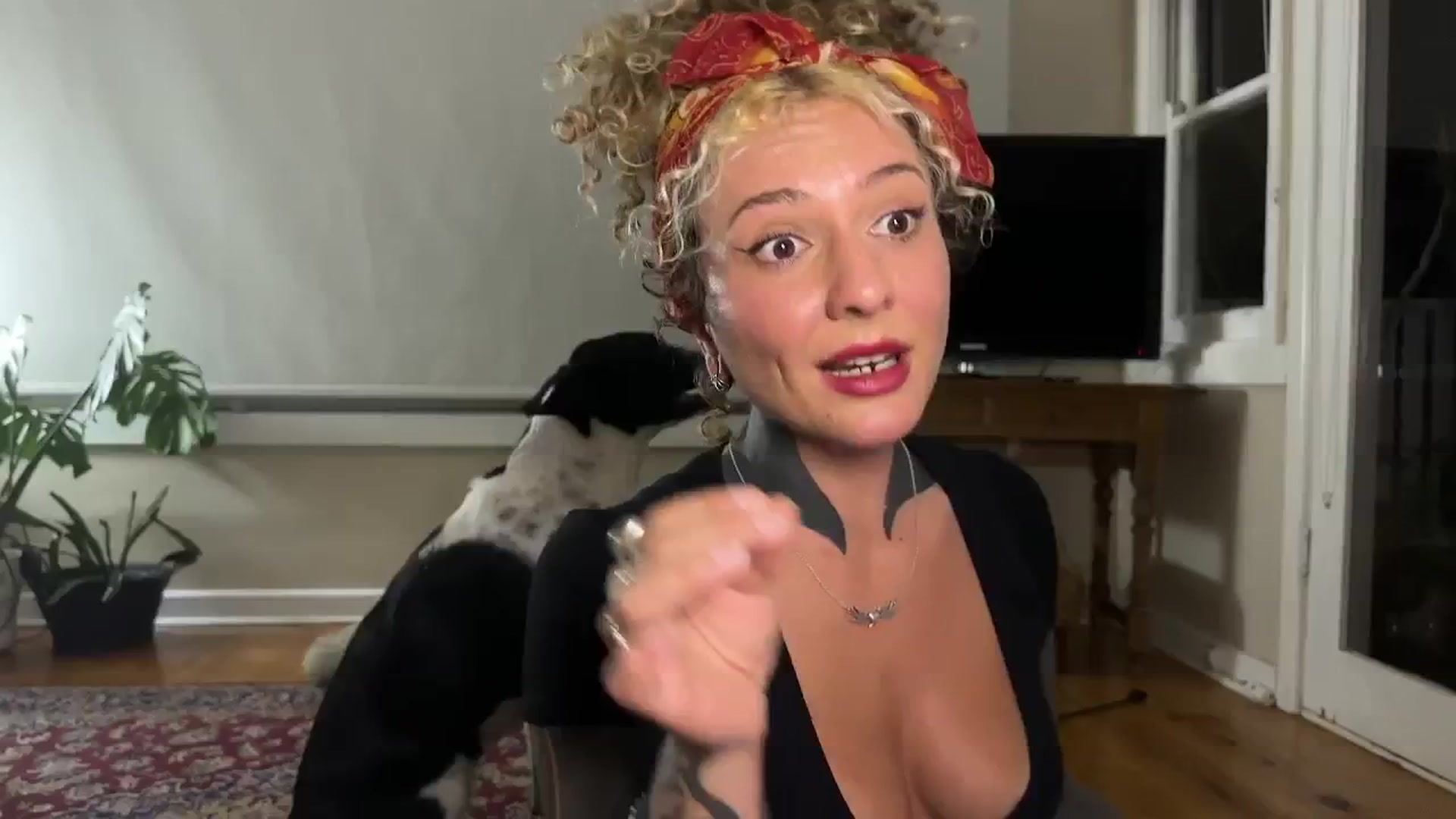Gallery image thumbnail from Alt_Aussie's myfreecams stream on, 08/23/2024, 09:52 image 19 of 20