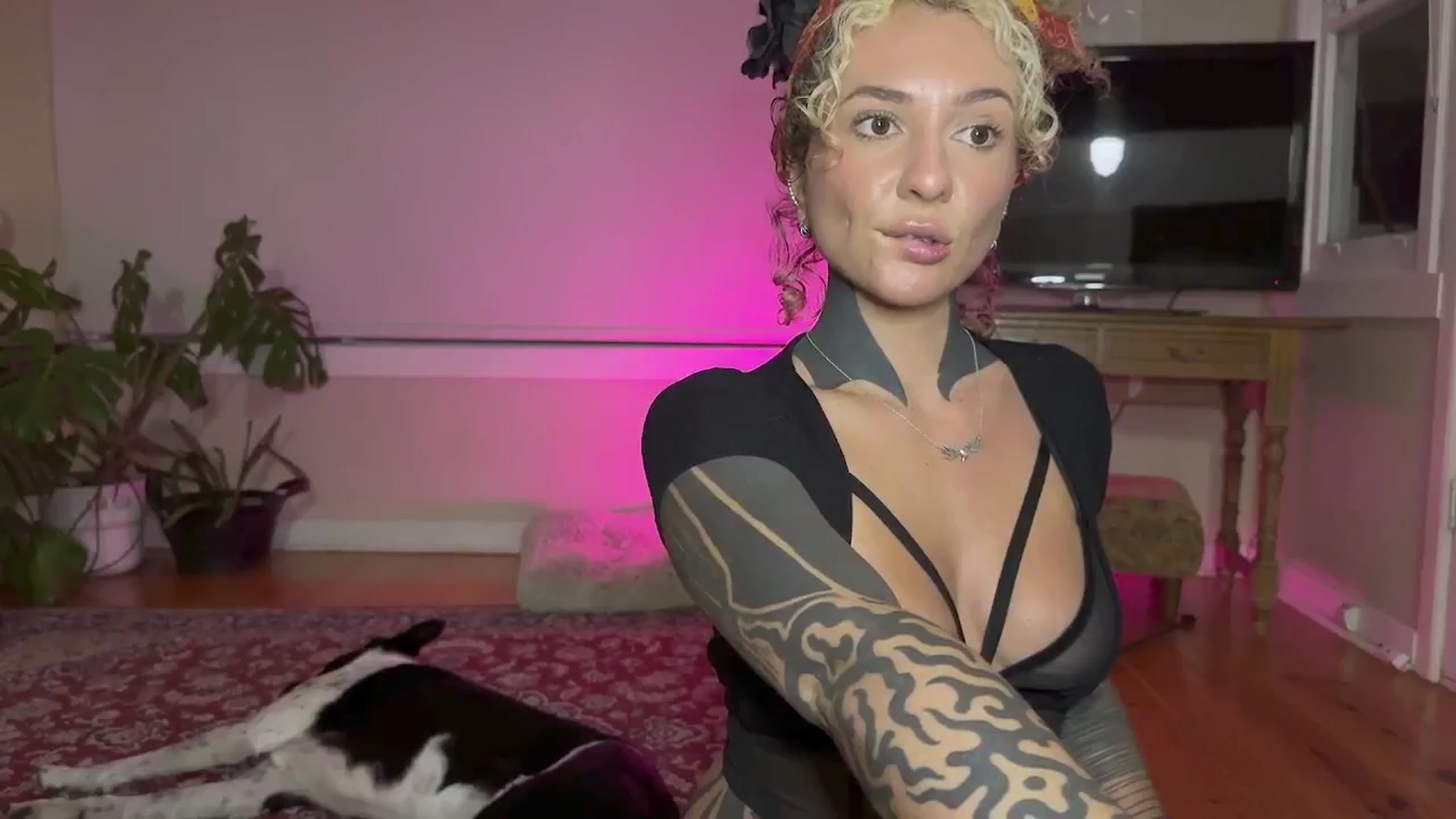 Gallery image thumbnail from Alt_Aussie's myfreecams stream on, 08/24/2024, 10:30 image 10 of 20