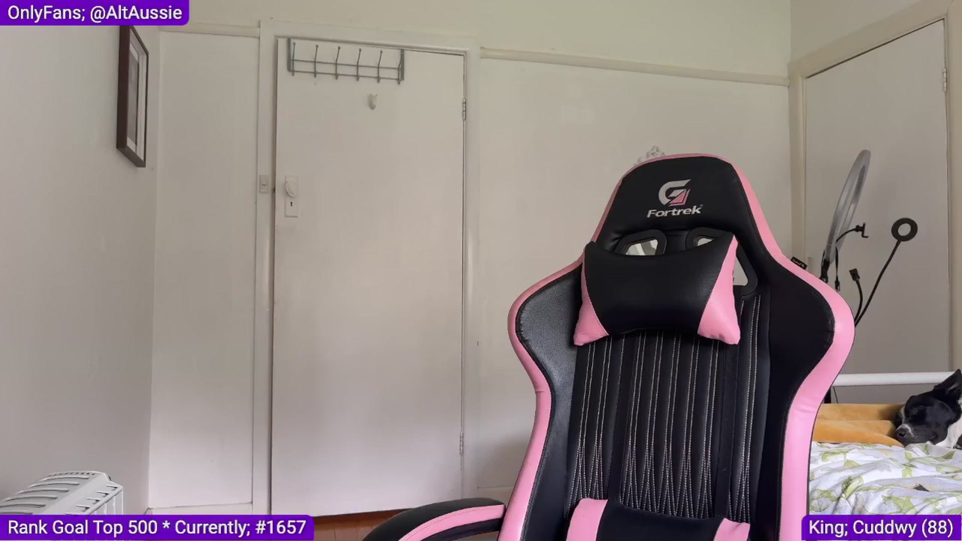 Gallery image thumbnail from Alt_Aussie's myfreecams stream on, 09/11/2024, 09:13 image 1 of 20